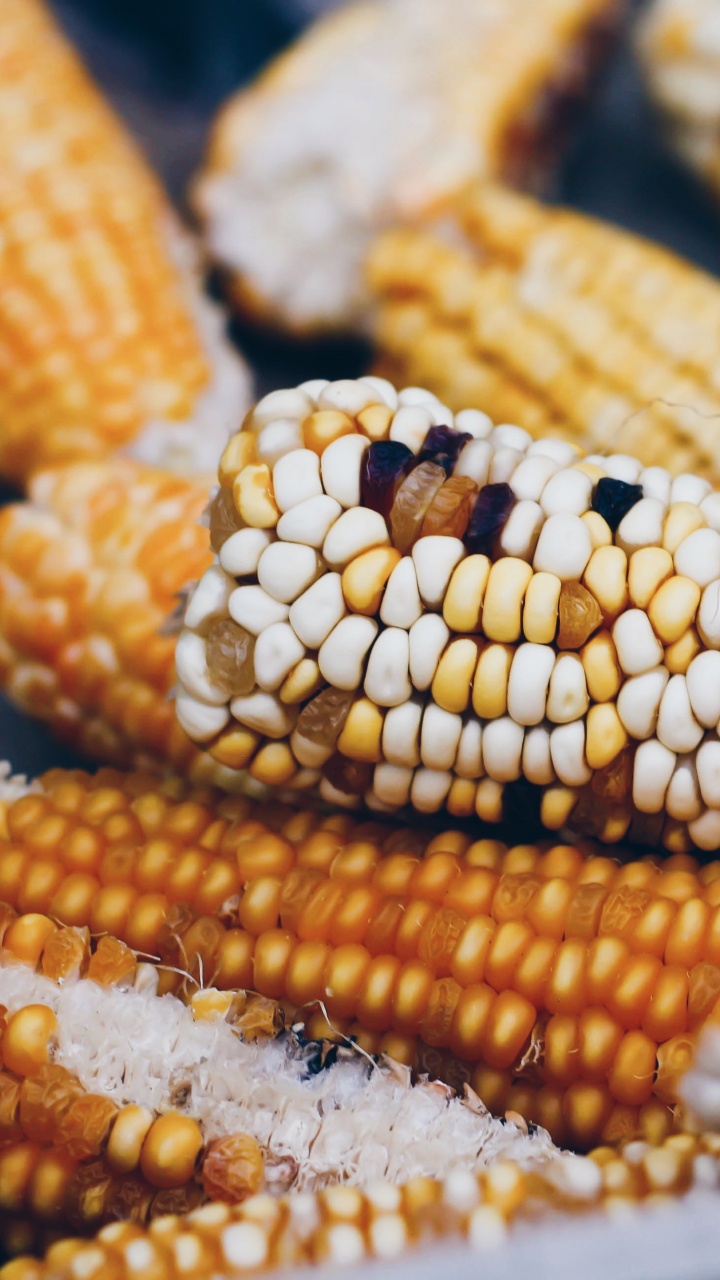 Обои кукурузные зерна, сахарная кукуруза, пища, кукуруза, вегетарианская пища в разрешении 720x1280