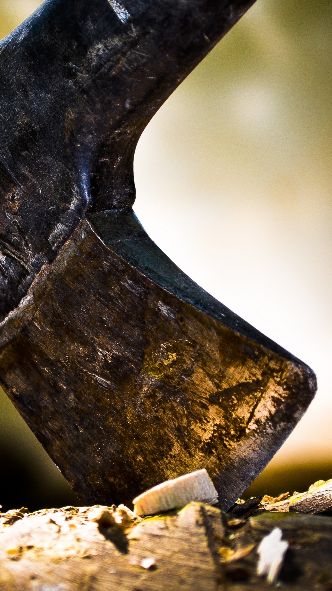 Обои топор, древесина, дерево, железо, растение в разрешении 1080x1920