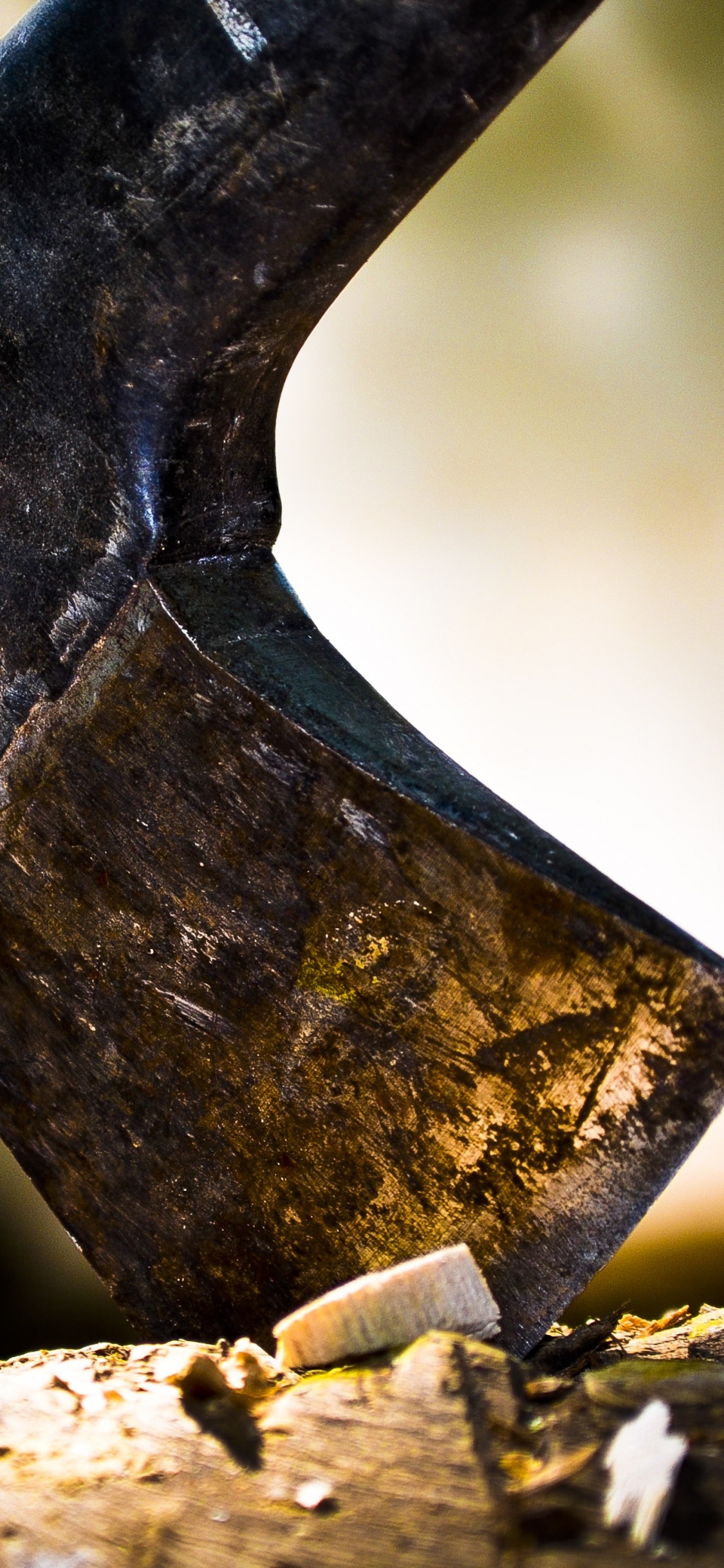 Обои топор, древесина, дерево, железо, растение в разрешении 1125x2436