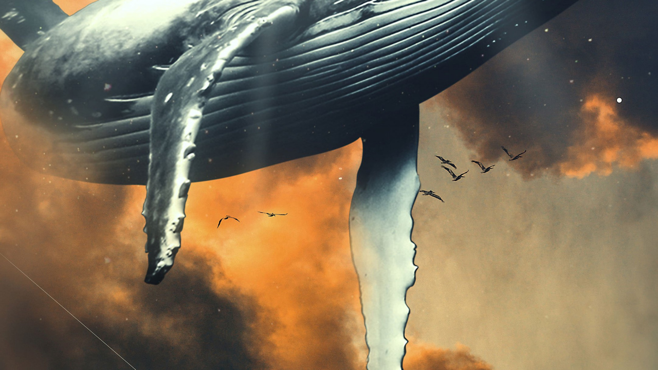 Обои вода, иканвас, художественная печать, арт, холст стены искусства в разрешении 1280x720