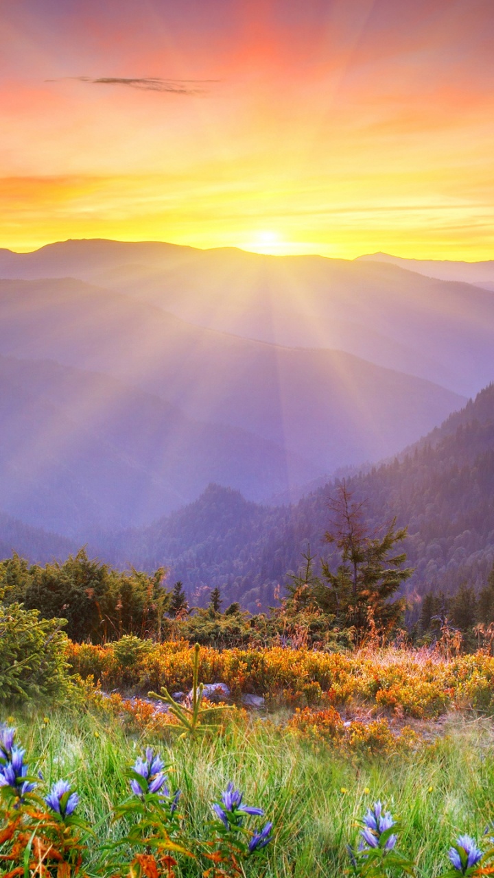 Обои гора, природа, восход солнца, дикая местность, полевой цветок в разрешении 720x1280