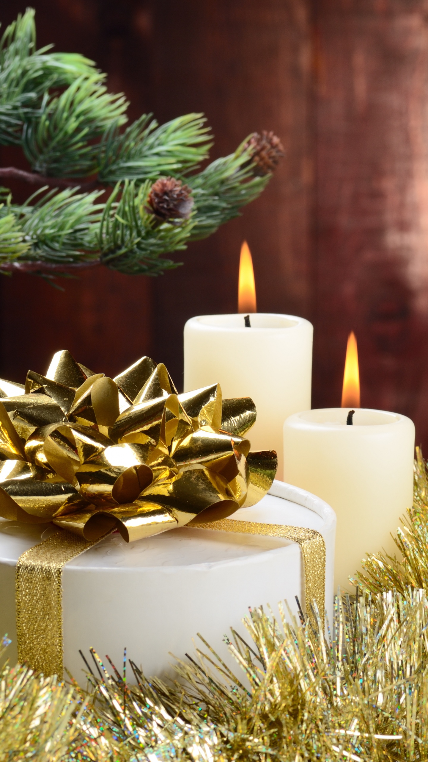 Обои дерево, Рождественские украшения, Рождество, пихта, семейства сосновых в разрешении 1440x2560