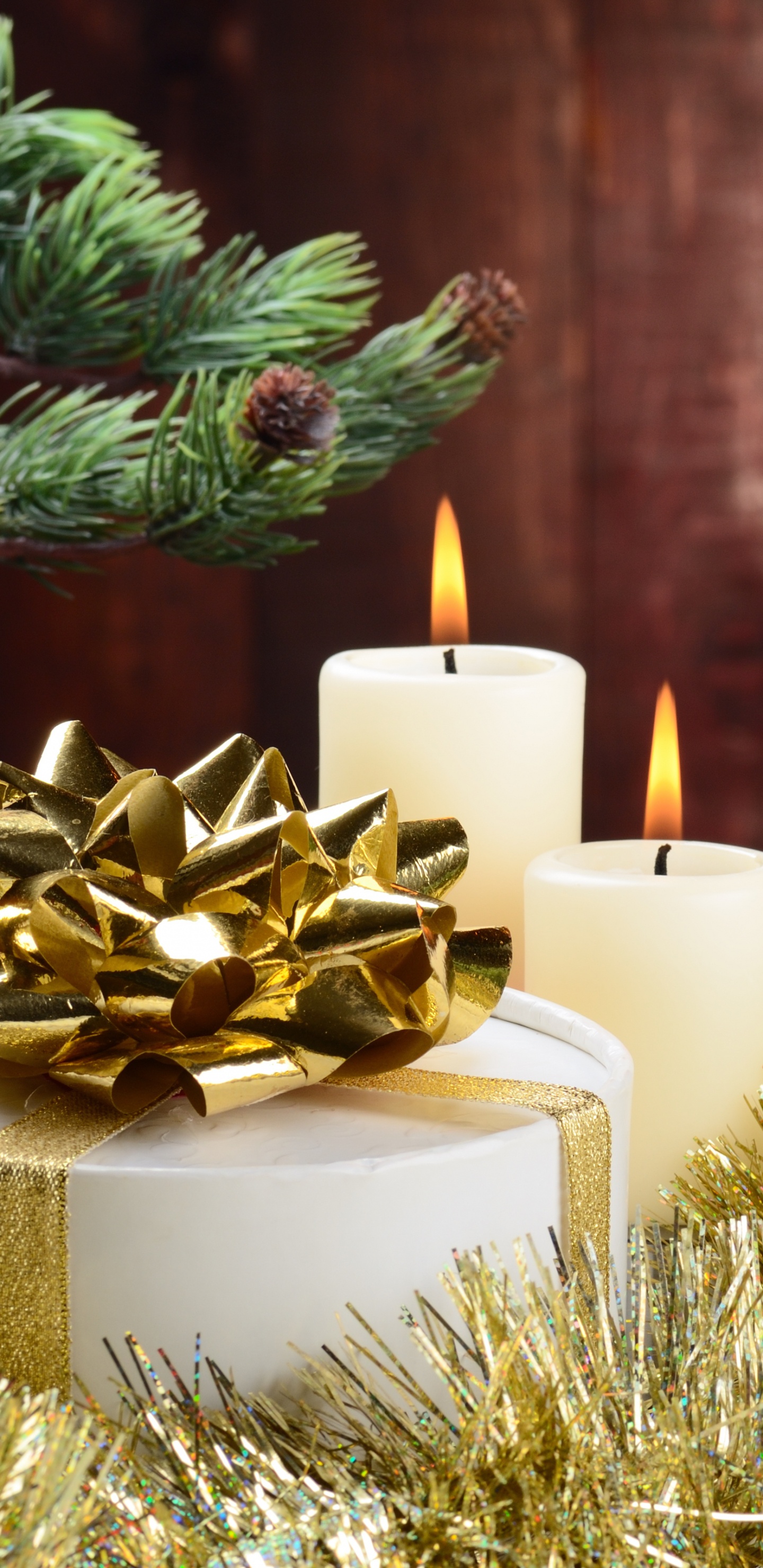 Обои дерево, Рождественские украшения, Рождество, пихта, семейства сосновых в разрешении 1440x2960