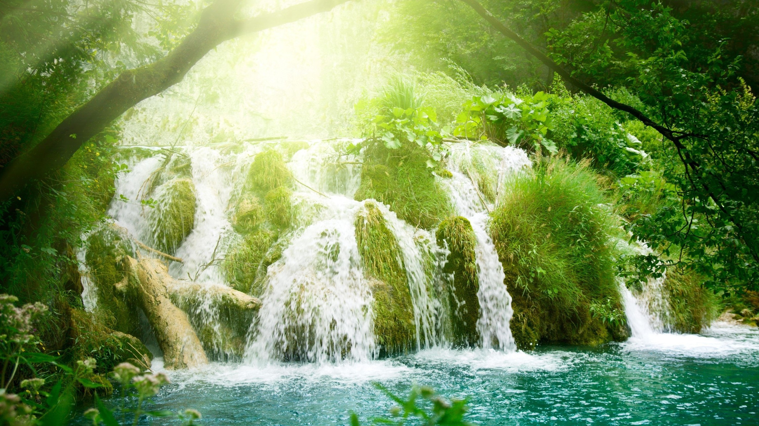 Обои водопад, природа, гидроресурсы, водоем, растительность в разрешении 2560x1440