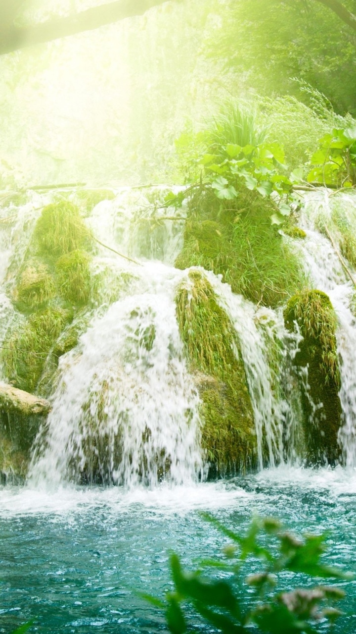 Обои водопад, природа, гидроресурсы, водоем, растительность в разрешении 720x1280