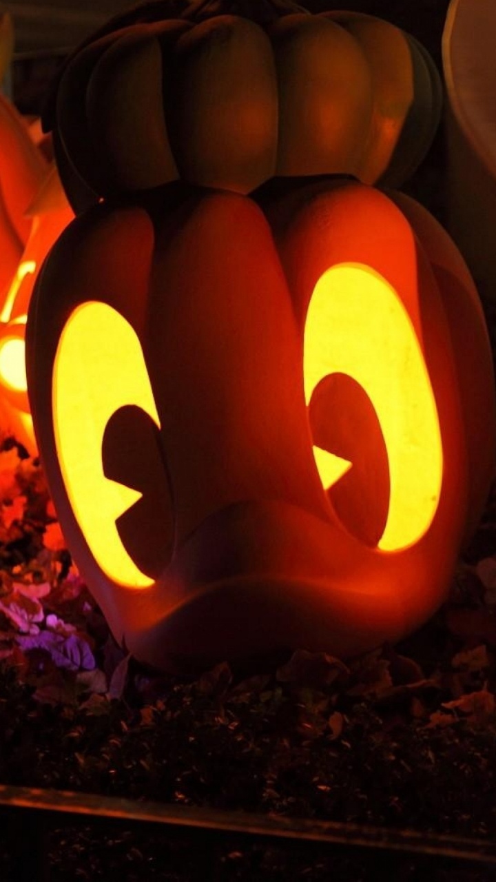 Обои Хэллоуин, тыква, праздник, калебас, зимний сквош в разрешении 720x1280