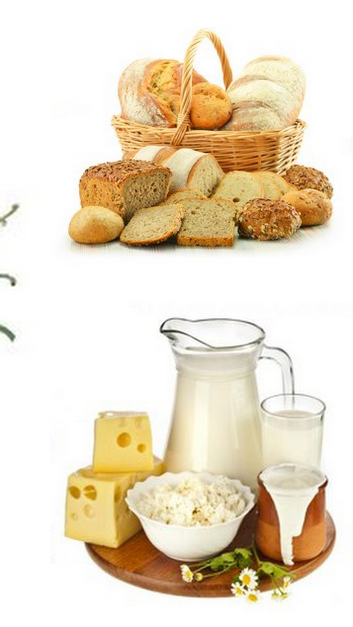 Обои овощ, фрукты, природные продукты, пища, вегетарианская пища в разрешении 1440x2560