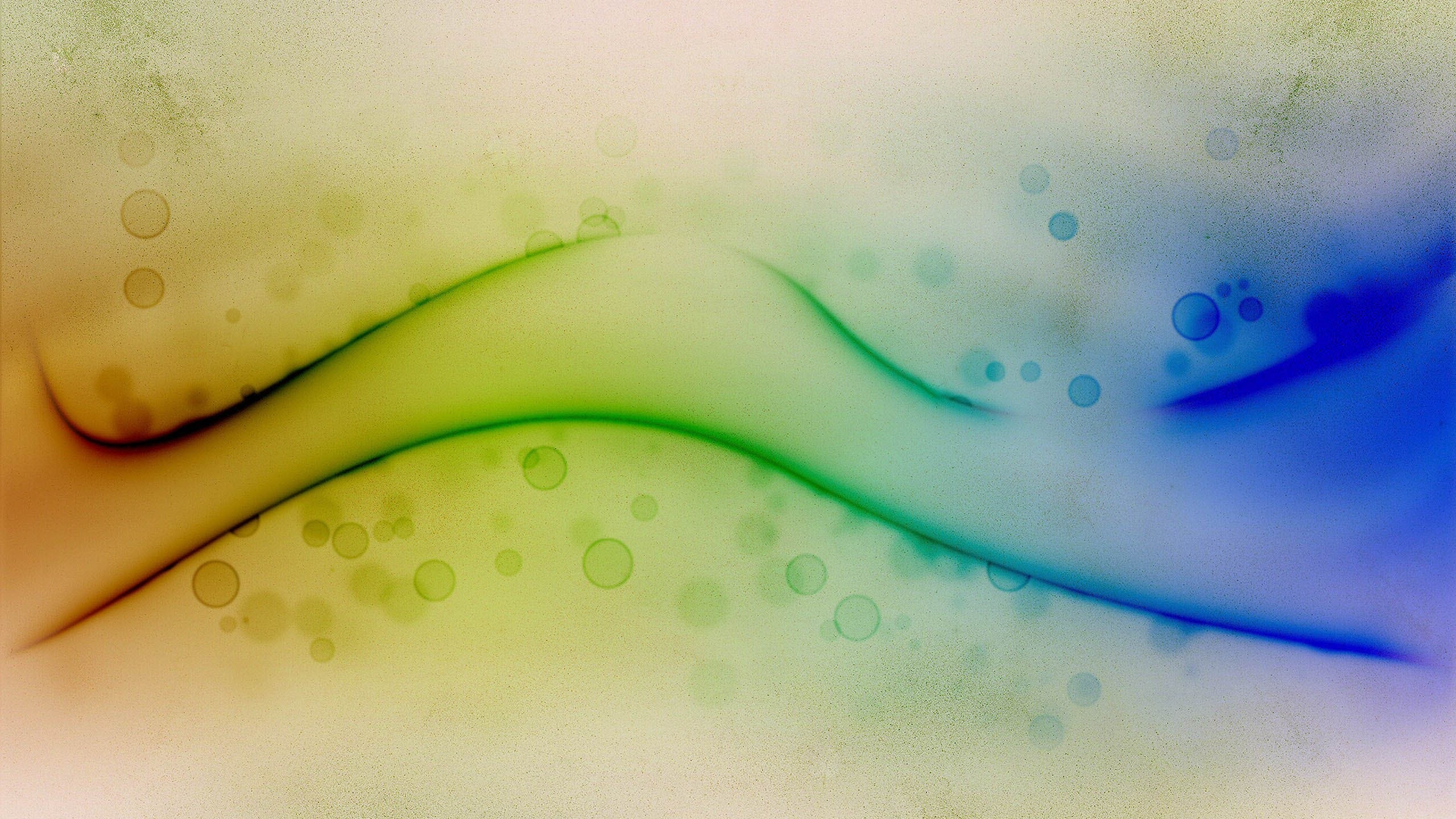 Обои зеленый, вода, зеленые, макросъемка, листок в разрешении 2560x1440