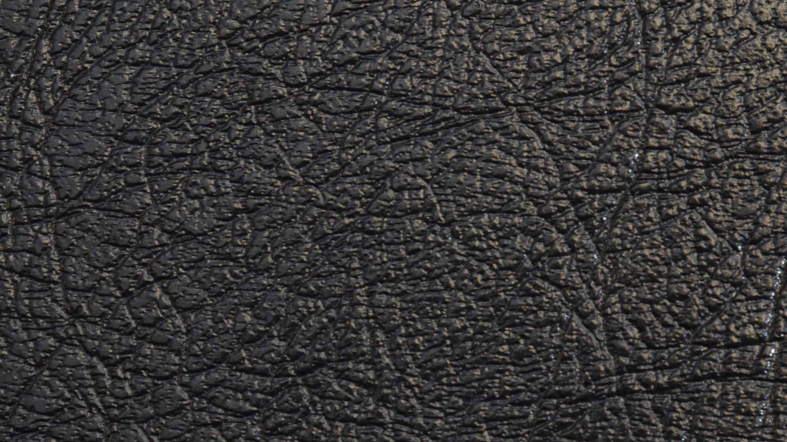 Обои черный, узор, графика, дерево, распределение в разрешении 2560x1440