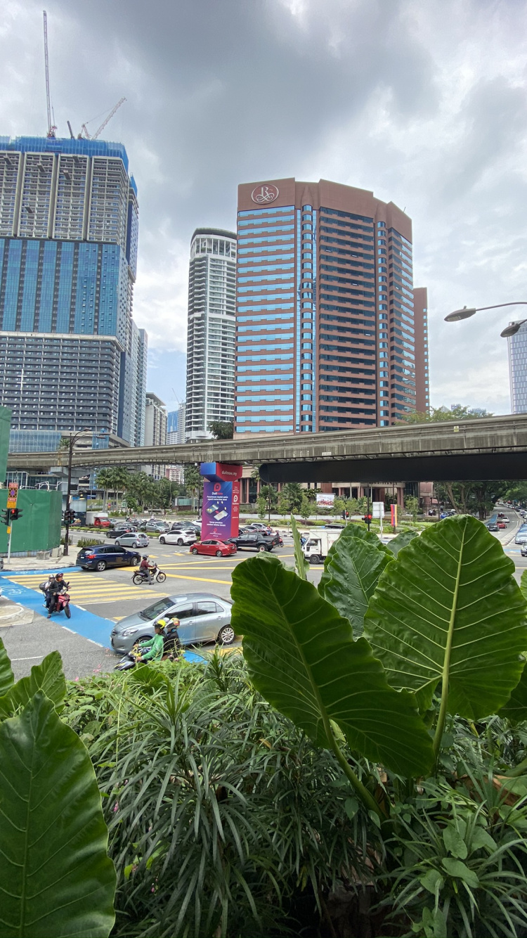 Обои башня, лист, городской пейзаж, коммерческое здание, здание в разрешении 750x1334