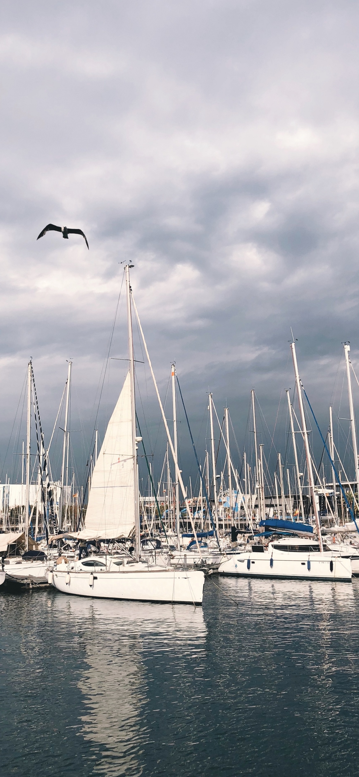 Обои Марина, мачта, вода, лодка, парусная шлюпка в разрешении 1242x2688