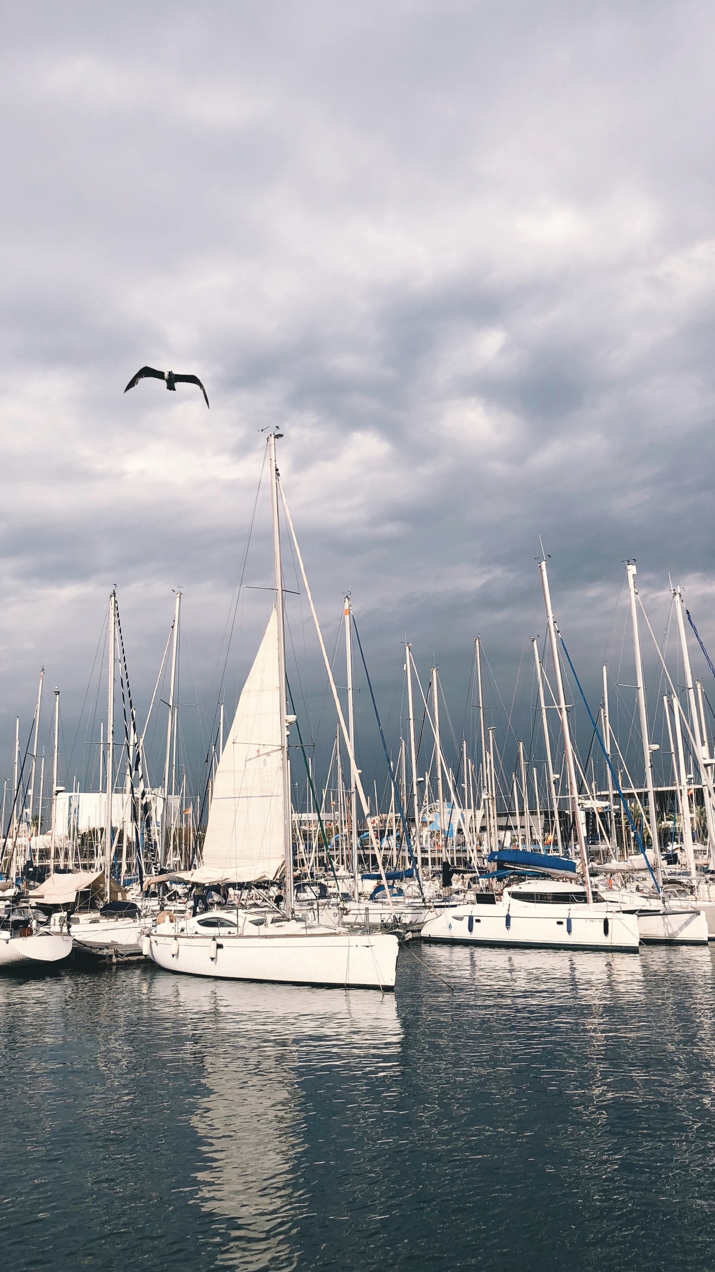 Обои Марина, мачта, вода, лодка, парусная шлюпка в разрешении 1440x2560