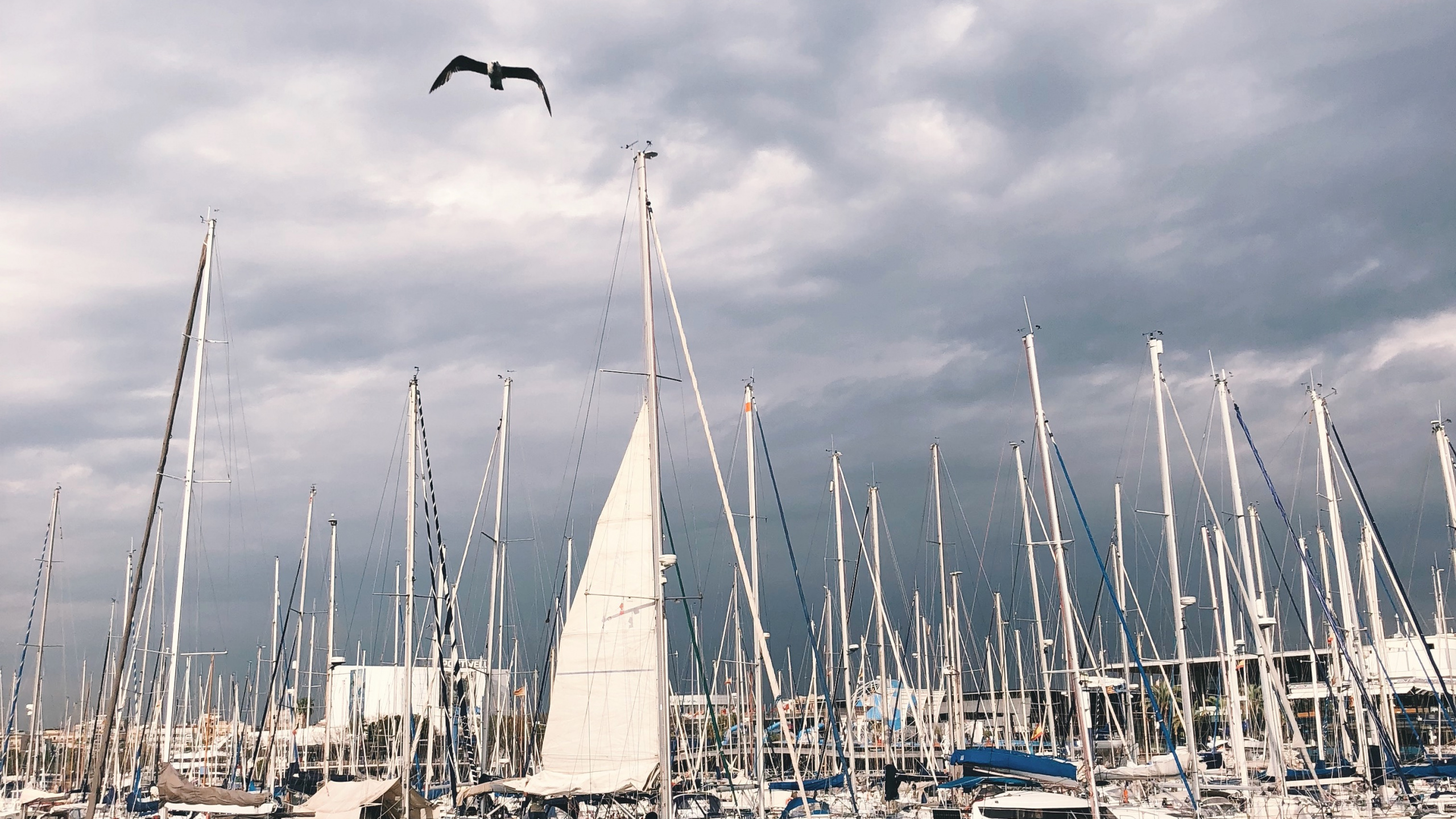 Обои Марина, мачта, вода, лодка, парусная шлюпка в разрешении 2560x1440