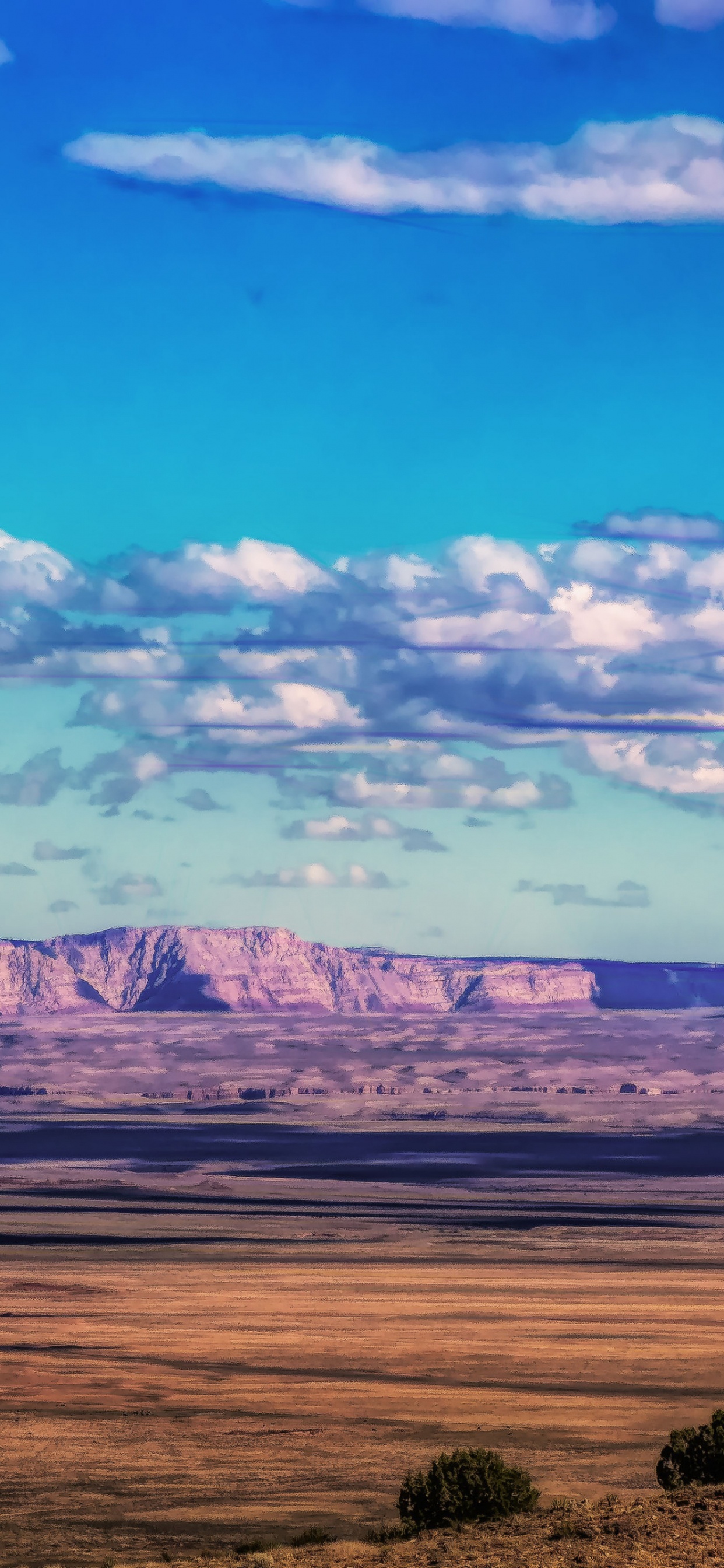 Обои облако, атмосфера, растение, природный ландшафт, нагорье в разрешении 1242x2688