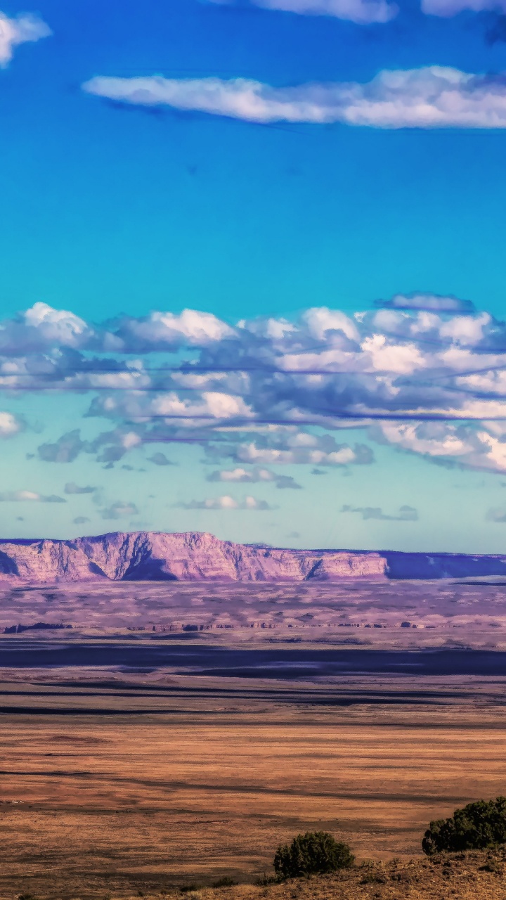 Обои облако, атмосфера, растение, природный ландшафт, нагорье в разрешении 720x1280