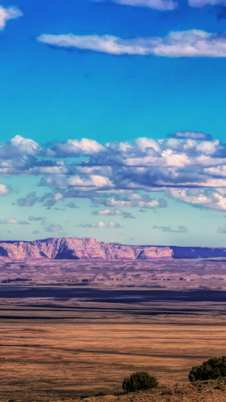 Обои облако, атмосфера, растение, природный ландшафт, нагорье в разрешении 750x1334