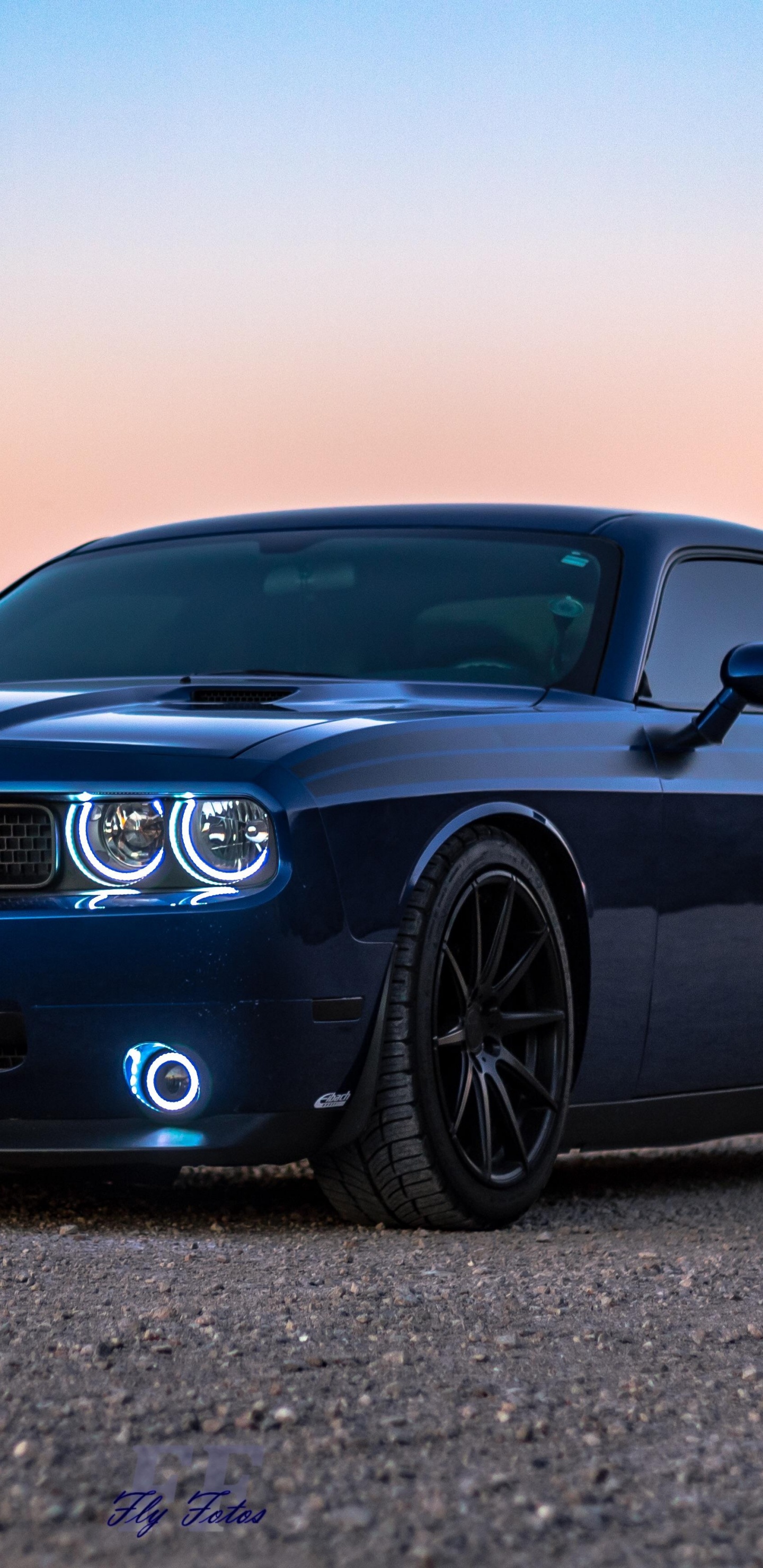 Обои dodge, авто, синий, обод, мускул кар в разрешении 1440x2960