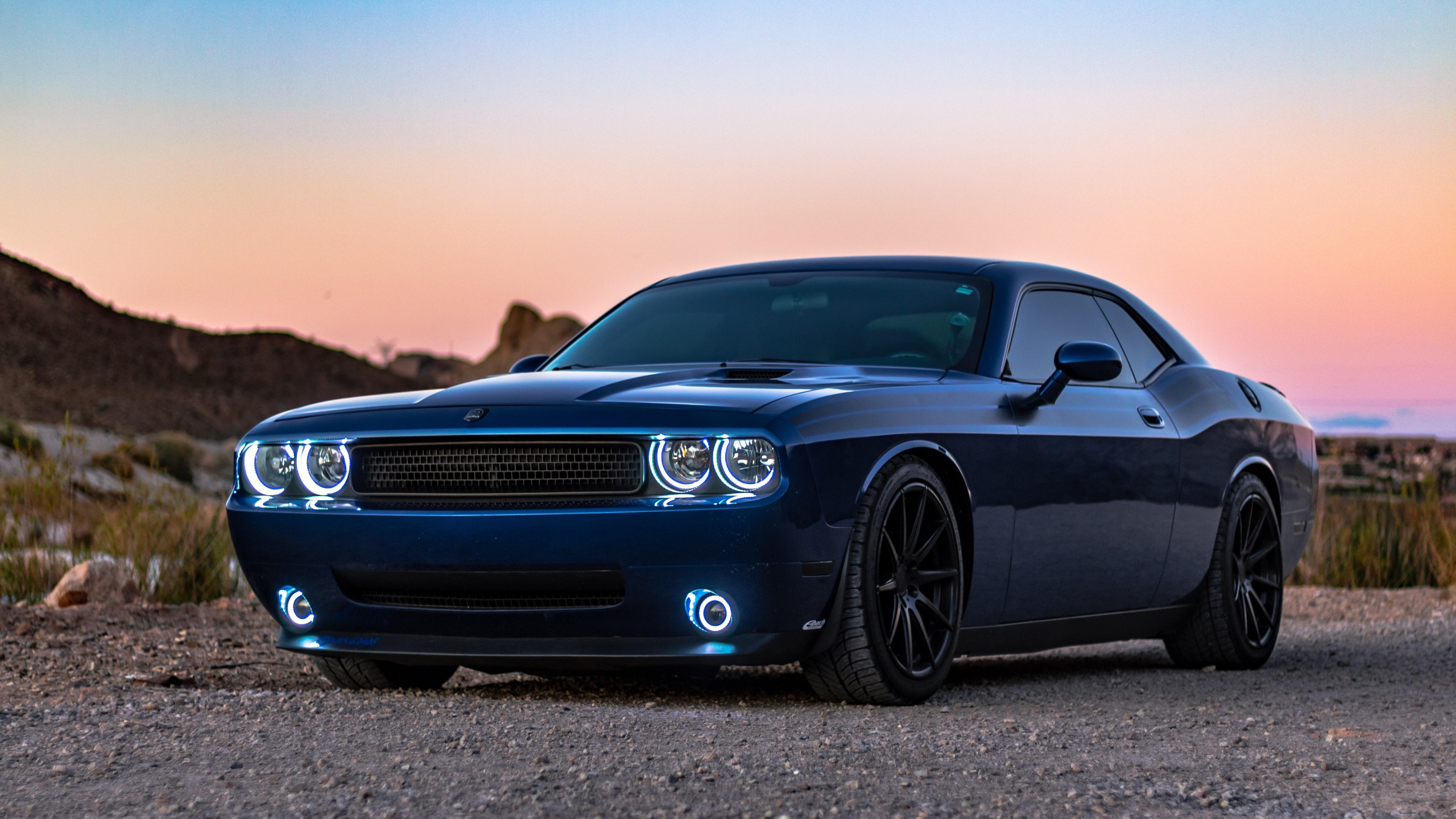 Обои dodge, авто, синий, обод, мускул кар в разрешении 2560x1440