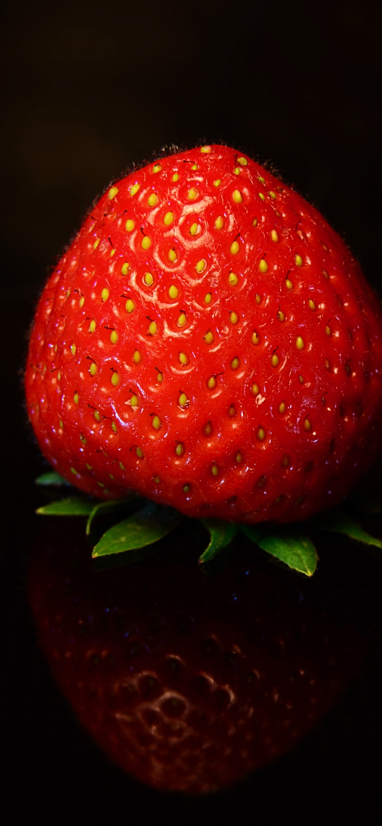 Обои клубника, фрукты, ягоды, красный цвет, растение в разрешении 1242x2688