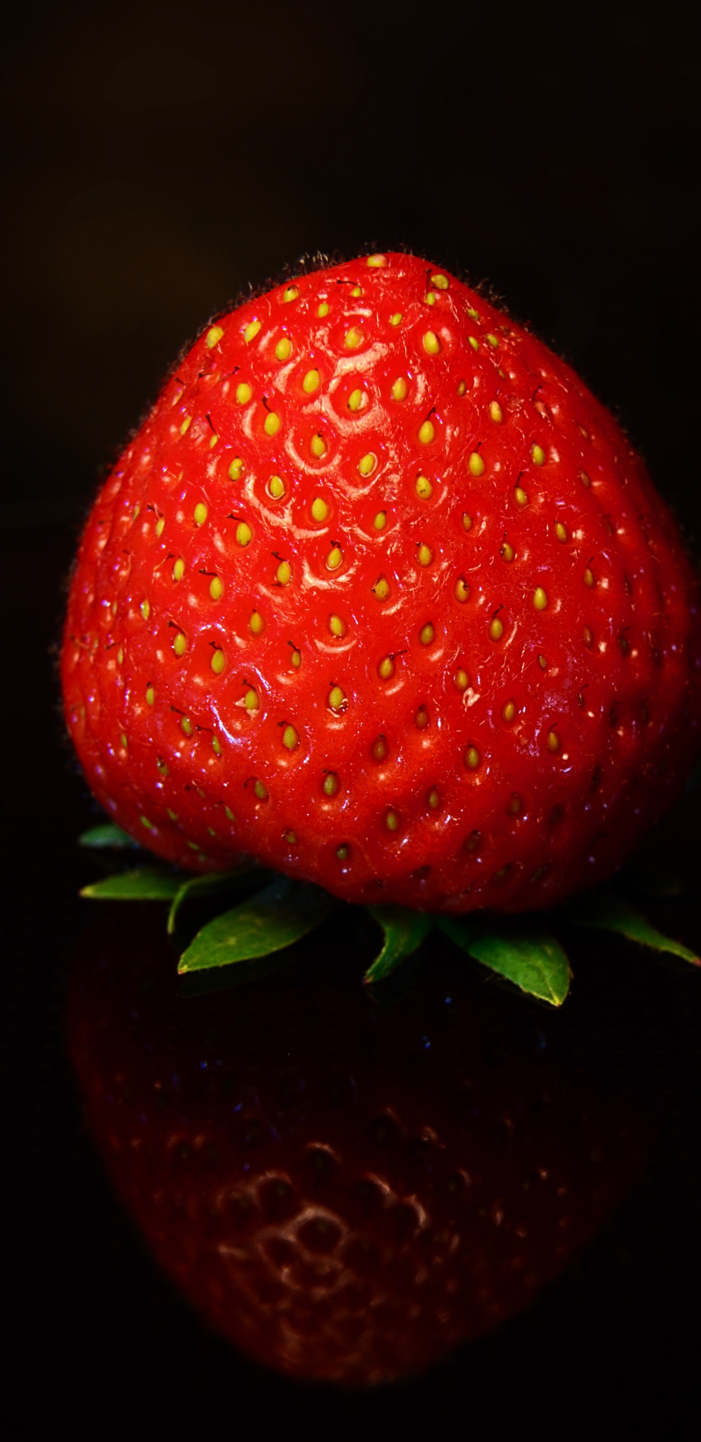 Обои клубника, фрукты, ягоды, красный цвет, растение в разрешении 1440x2960