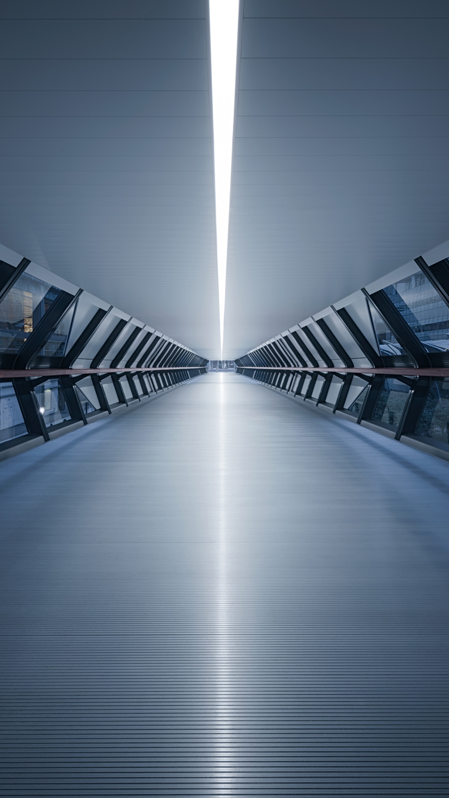 Обои свет, синий, архитектура, освещение, симметрия в разрешении 1440x2560