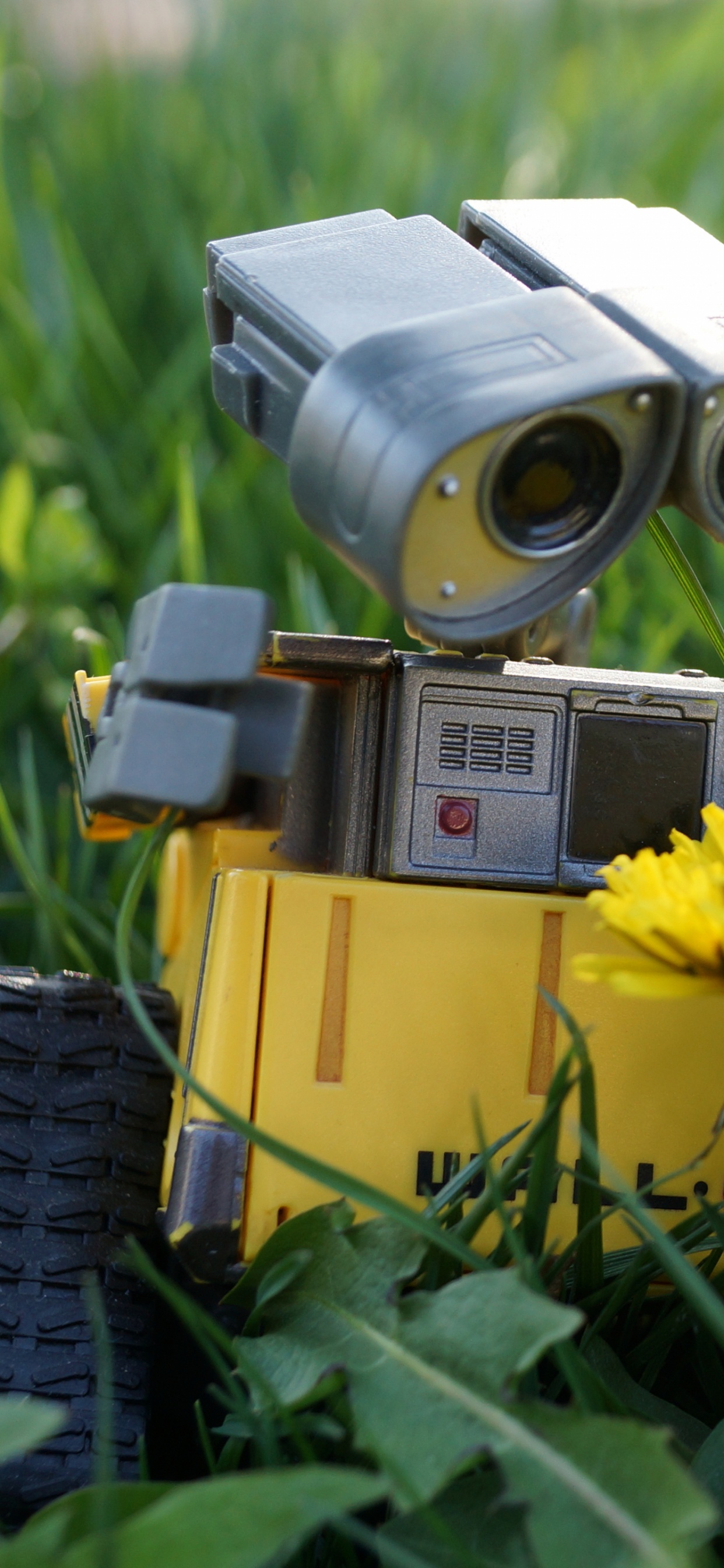 Обои робот, желтый, растение, семейство травы, луг в разрешении 1242x2688