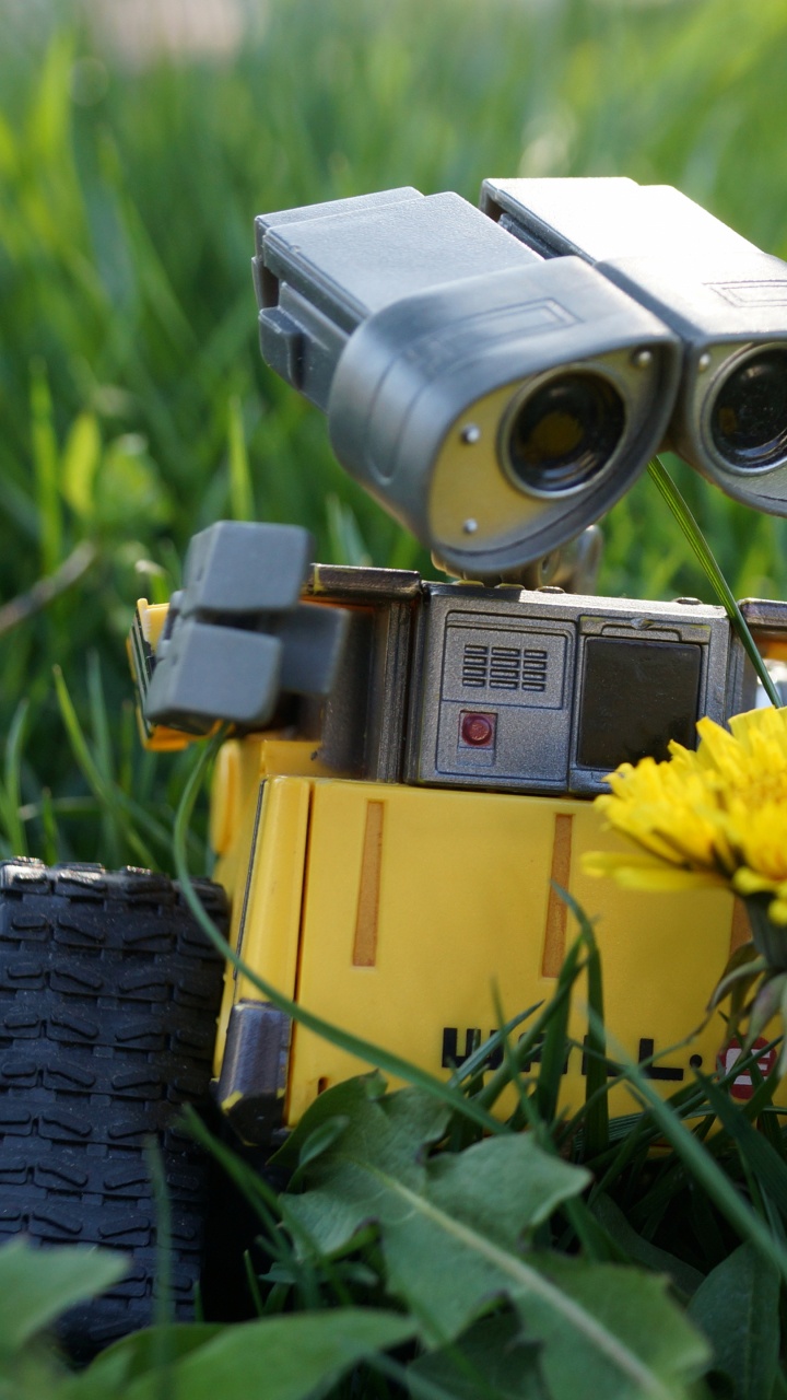 Обои робот, желтый, растение, семейство травы, луг в разрешении 720x1280