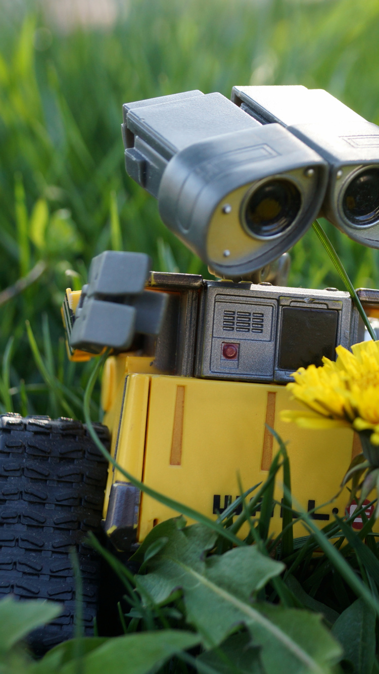 Обои робот, желтый, растение, семейство травы, луг в разрешении 750x1334