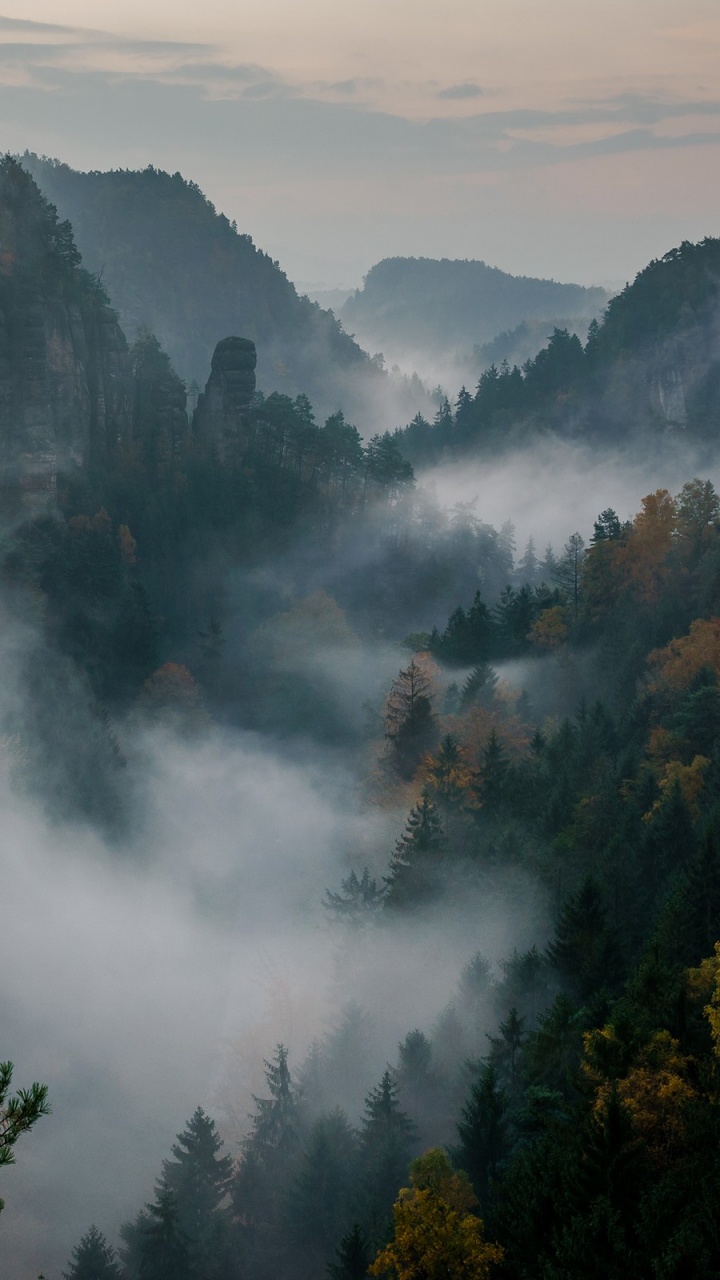 Обои дерево, природа, горный рельеф, гора, туман в разрешении 720x1280