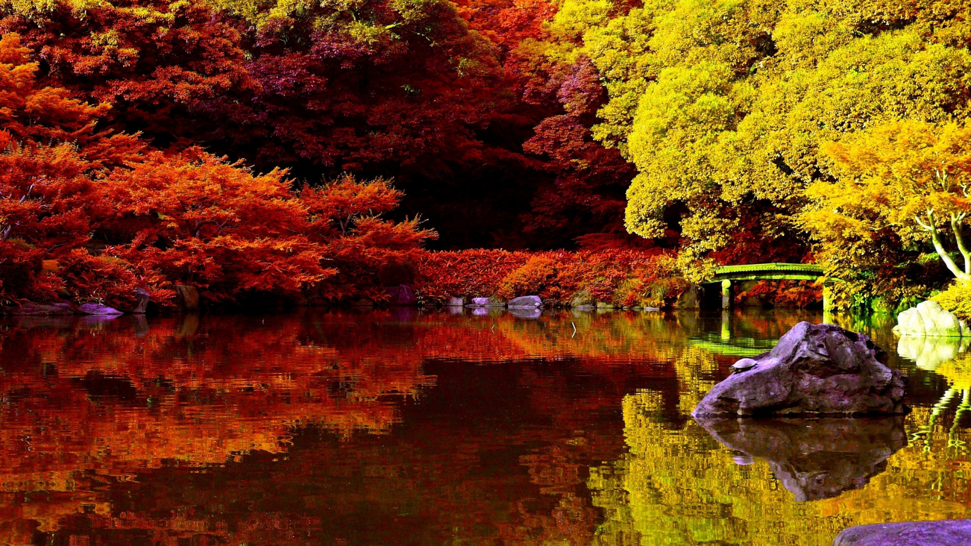 Обои пейзажная живопись, природа, лист, отражение, дерево в разрешении 1920x1080