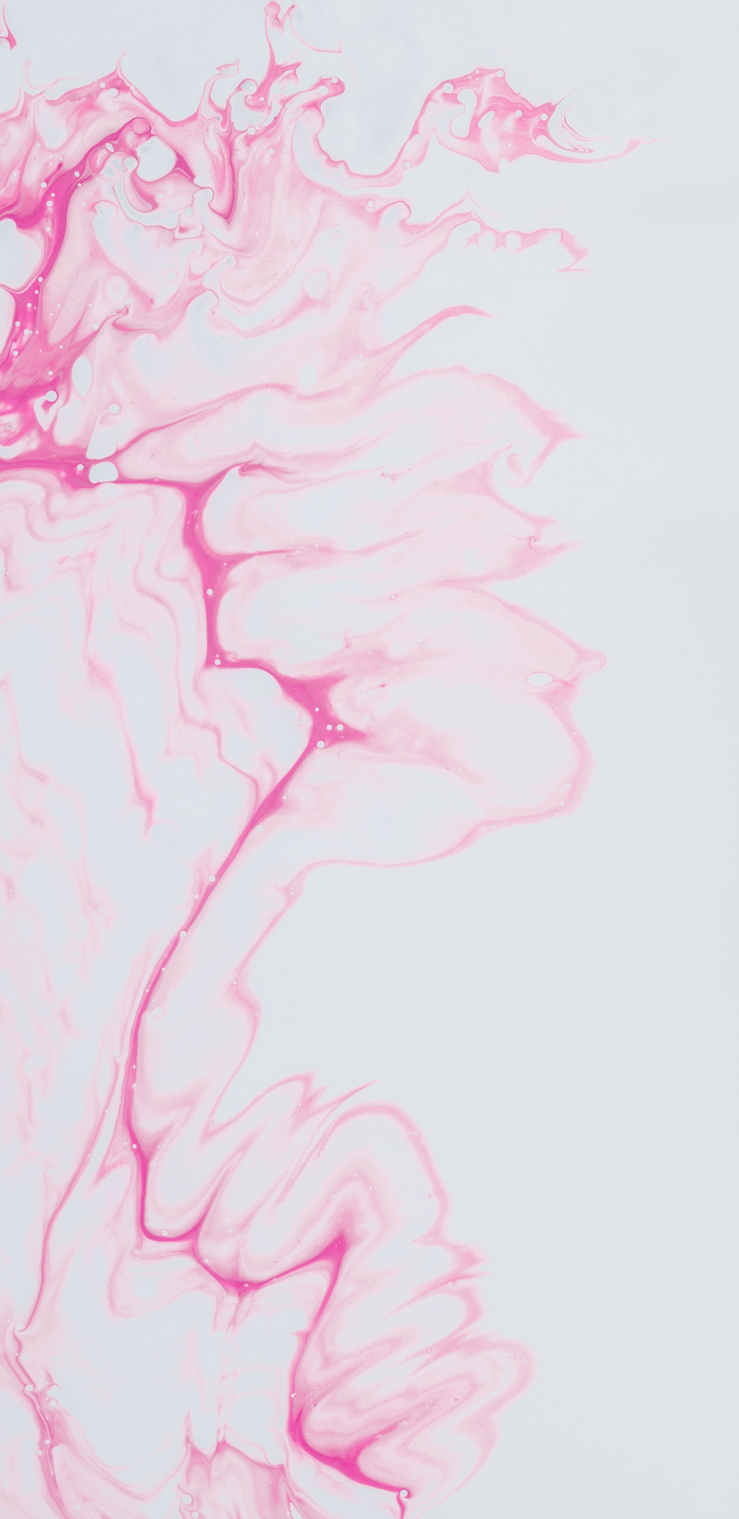 Обои рисование, розовый, пурпурный цвет, иллюстрация, арт в разрешении 1440x2960