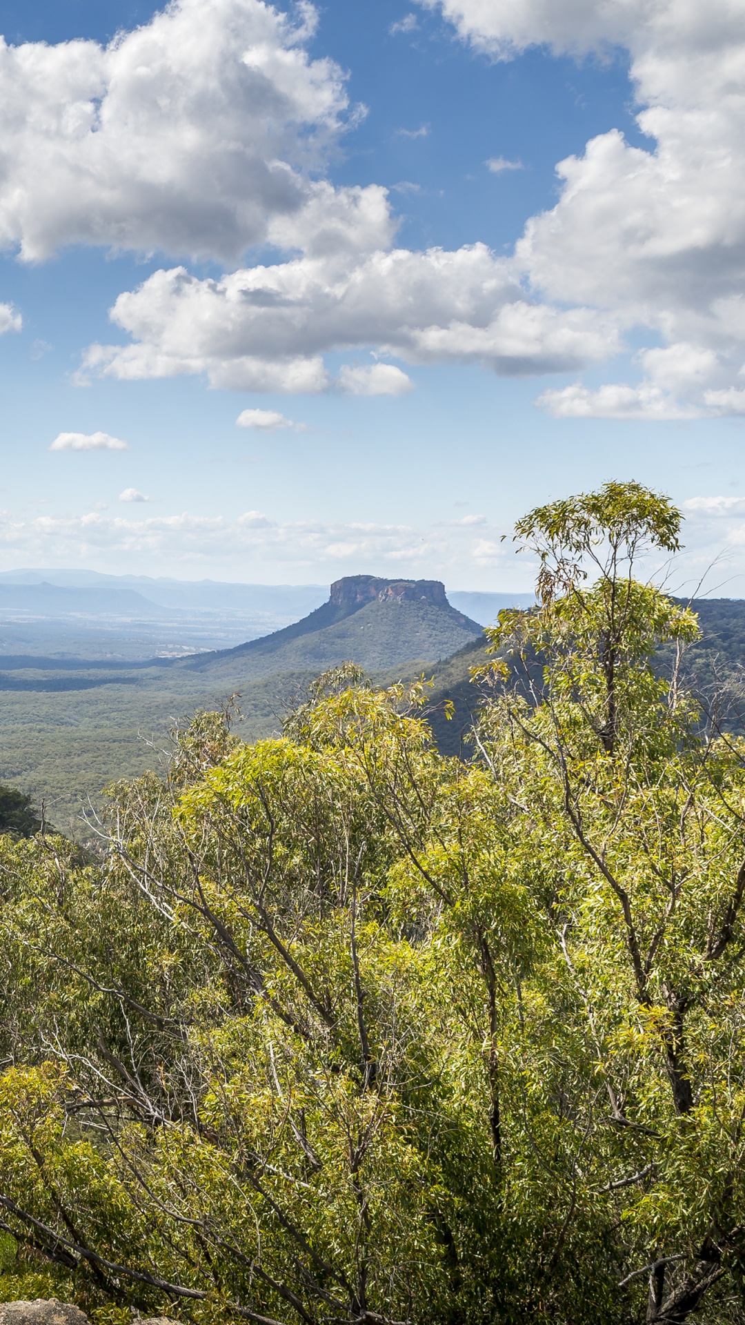 Обои растительность, гора, дикая местность, природный заповедник, пустыня в разрешении 1080x1920