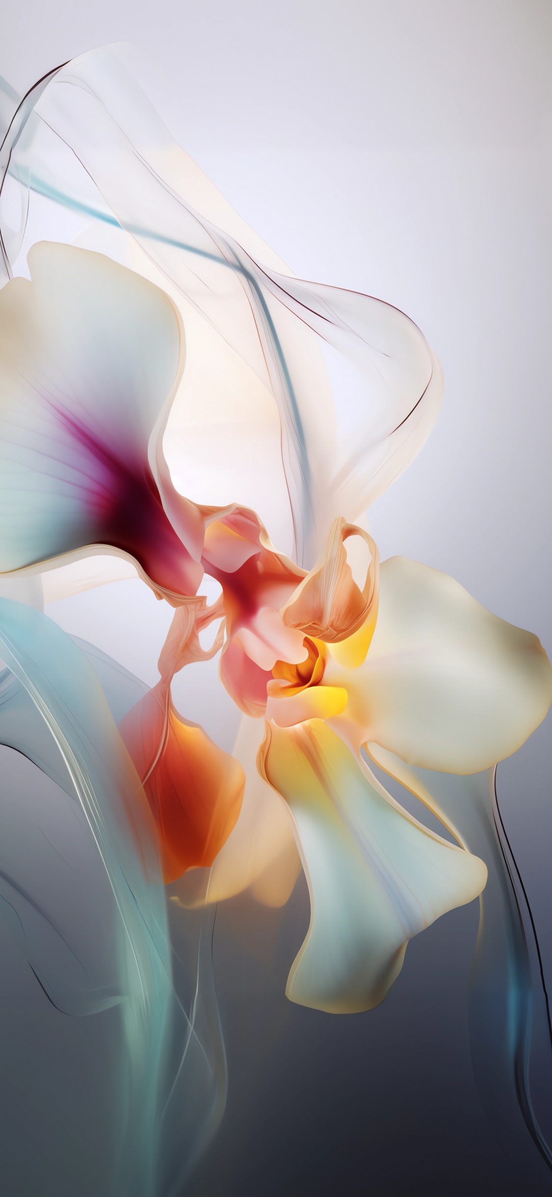 Обои франжипани, мотылек орхидеи, графический дизайн, рисование, цветок в разрешении 1125x2436