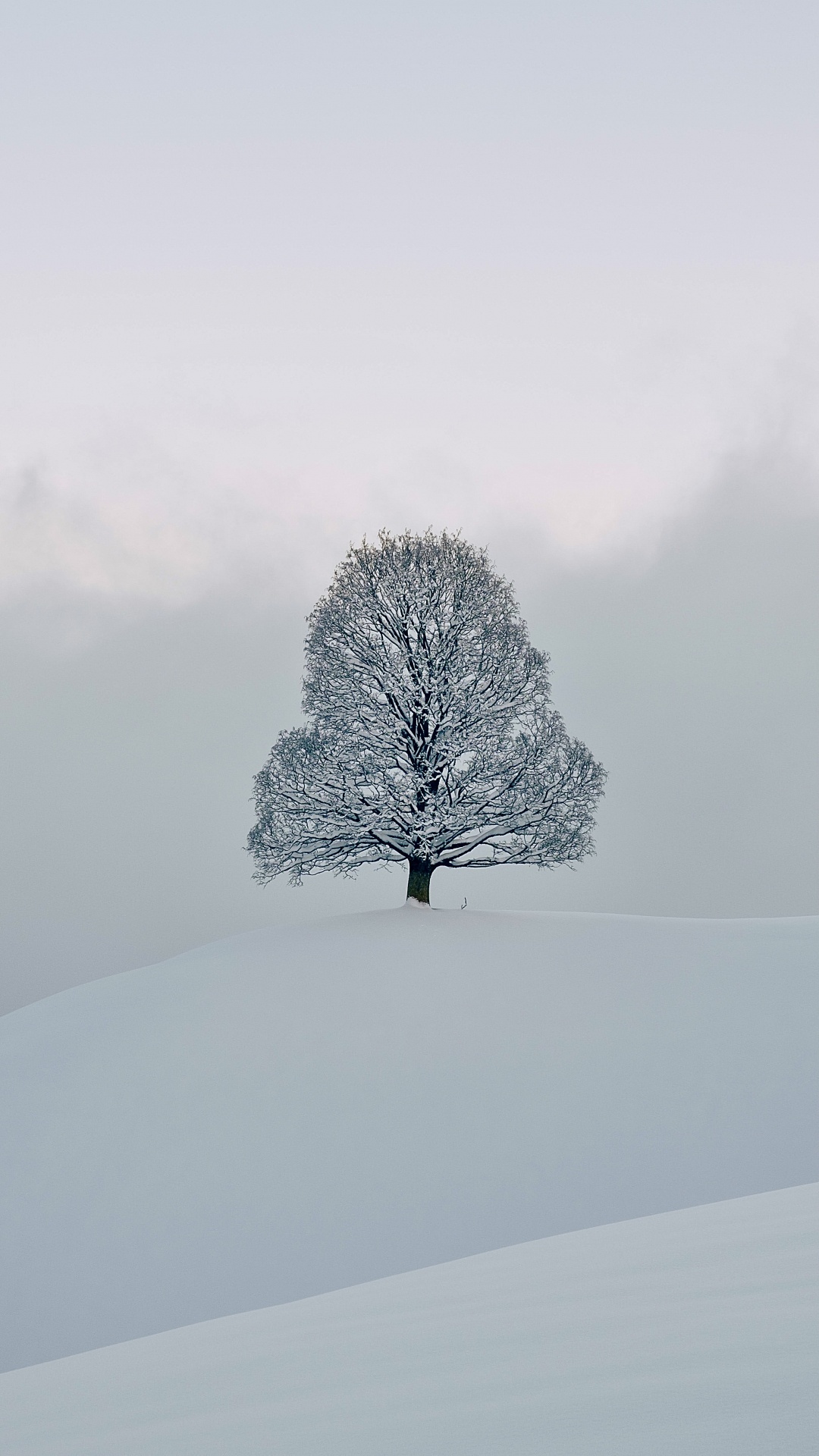Обои снег, замораживание, зима, химия, природный ландшафт в разрешении 1080x1920