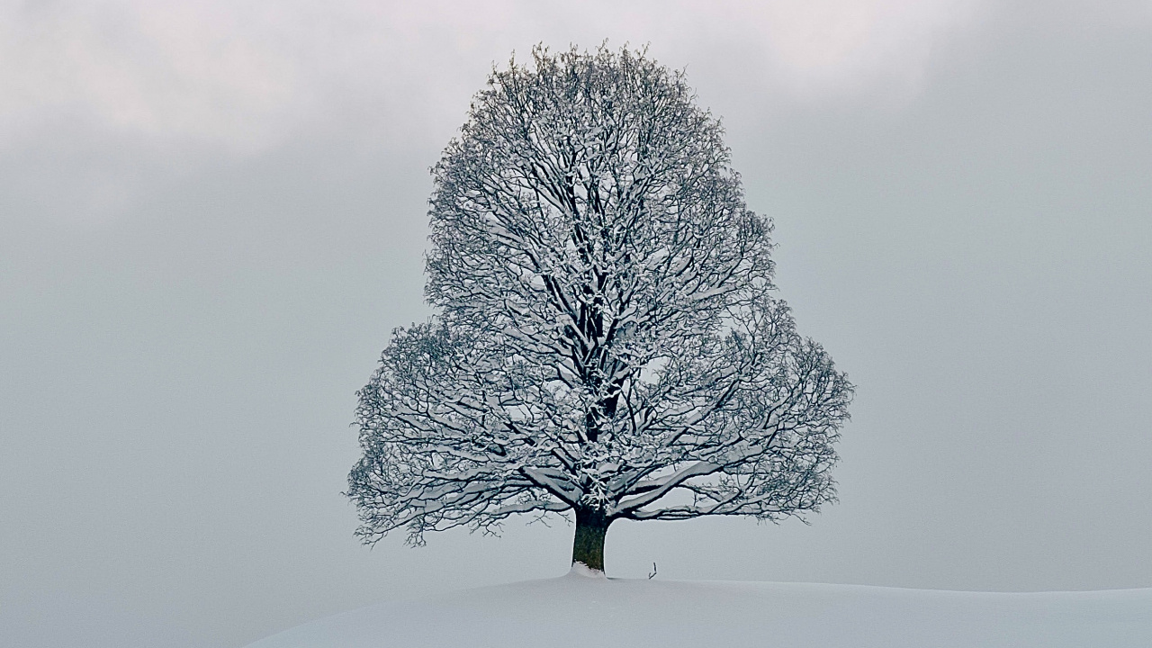 Обои снег, замораживание, зима, химия, природный ландшафт в разрешении 1280x720