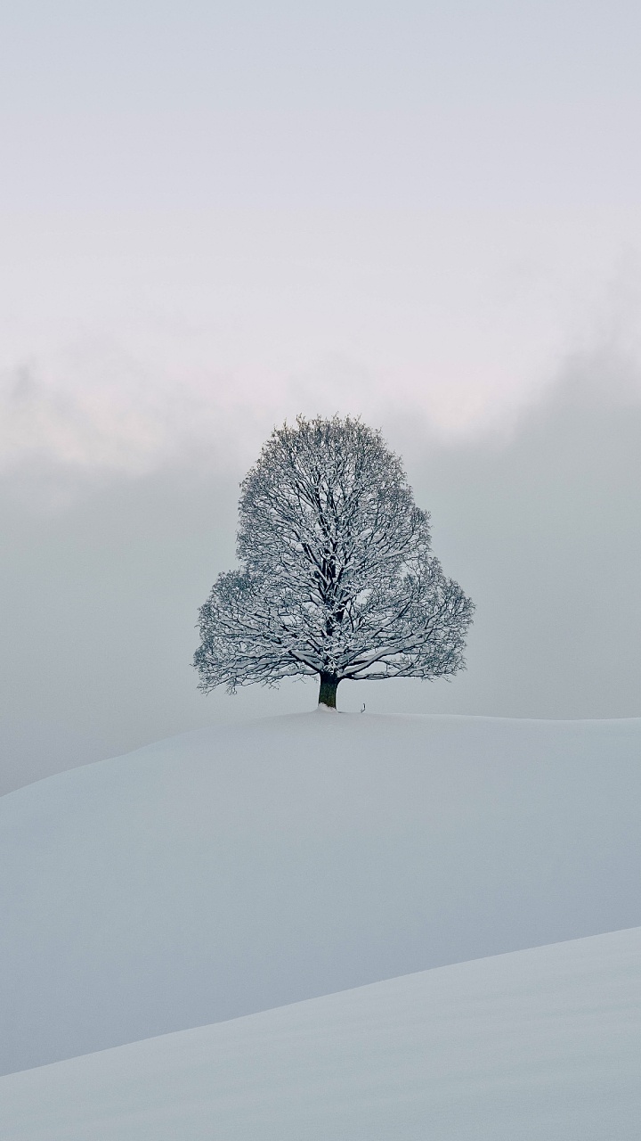 Обои снег, замораживание, зима, химия, природный ландшафт в разрешении 720x1280
