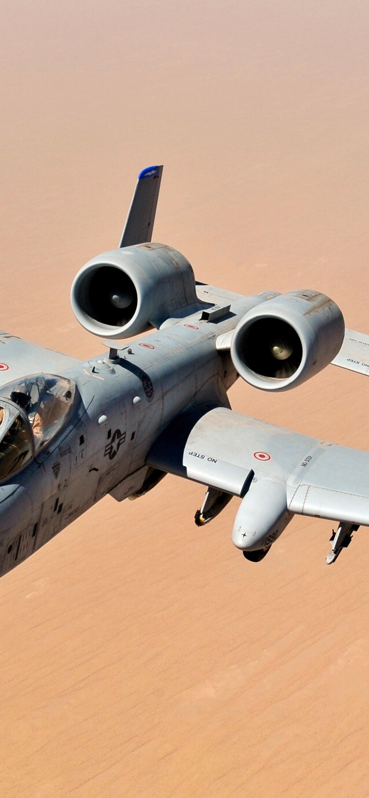 Обои Общие бородавочник, ВВС США, Су 25, Самолет непосредственной авиационной поддержки А-10, самолеты в разрешении 1242x2688