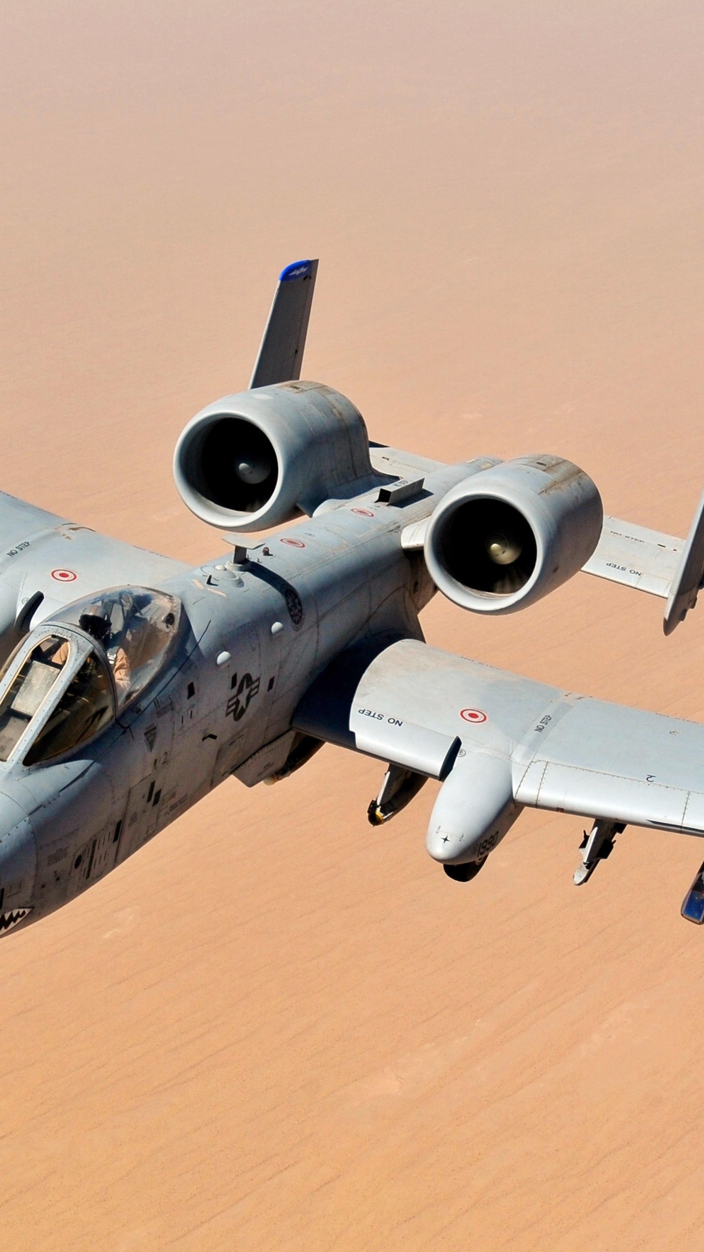 Обои Общие бородавочник, ВВС США, Су 25, Самолет непосредственной авиационной поддержки А-10, самолеты в разрешении 1440x2560