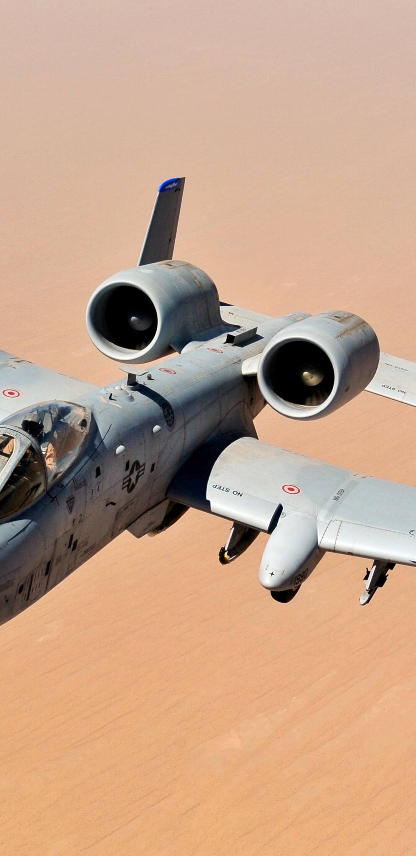 Обои Общие бородавочник, ВВС США, Су 25, Самолет непосредственной авиационной поддержки А-10, самолеты в разрешении 1440x2960