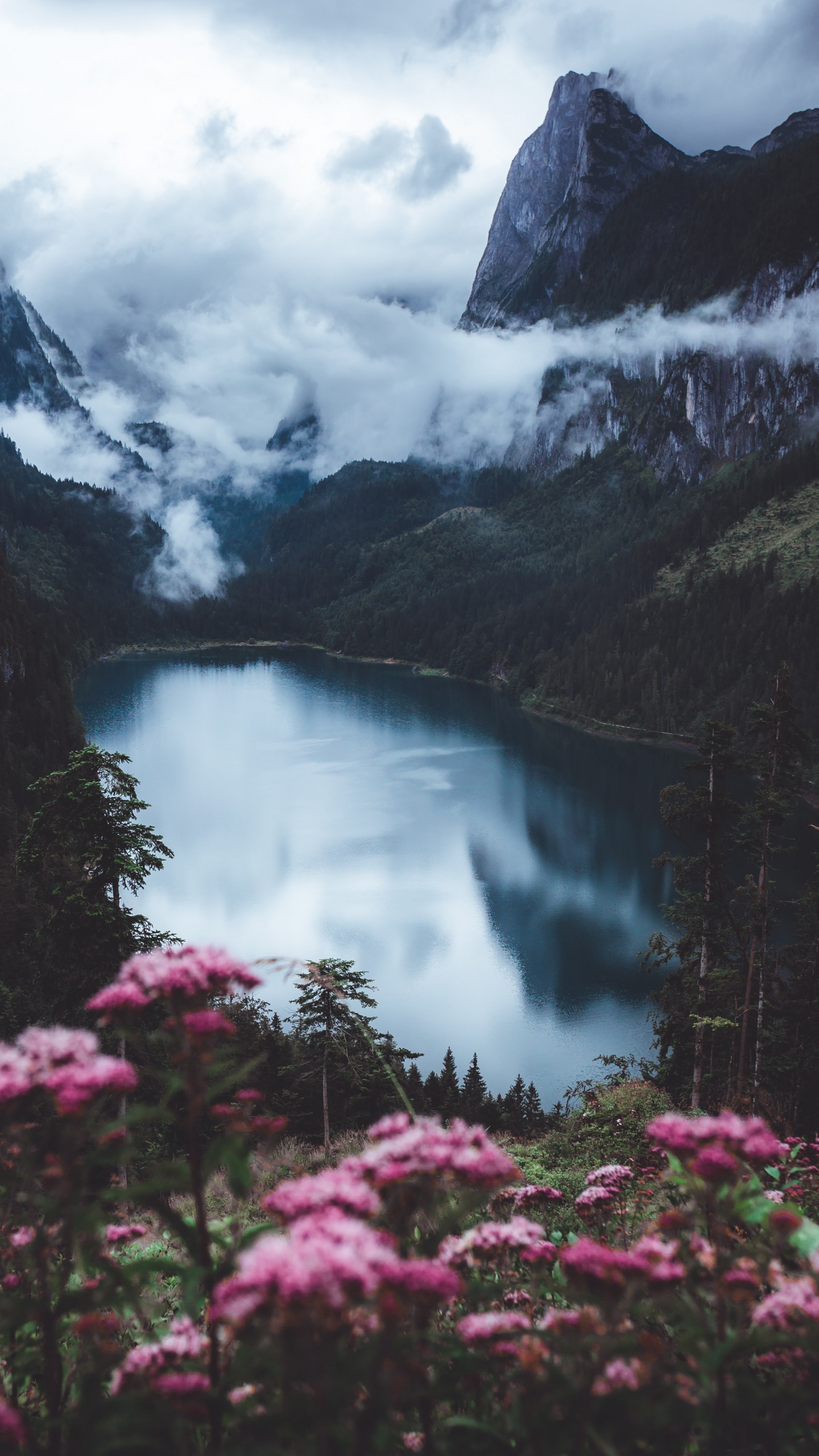 Обои озеро цветы без брызг, цветок, облако, гора, вода в разрешении 1440x2560