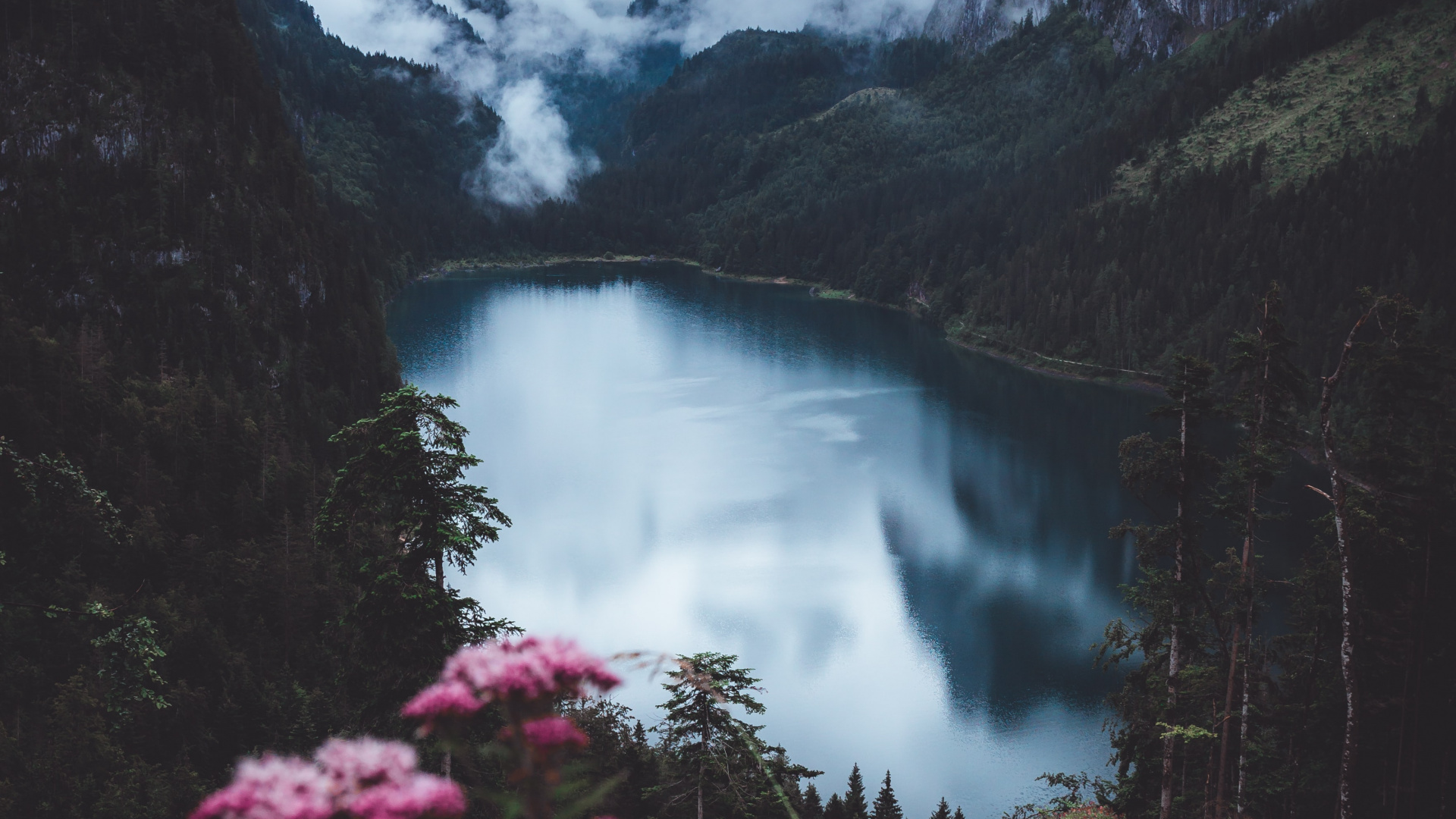 Обои озеро цветы без брызг, цветок, облако, гора, вода в разрешении 1920x1080