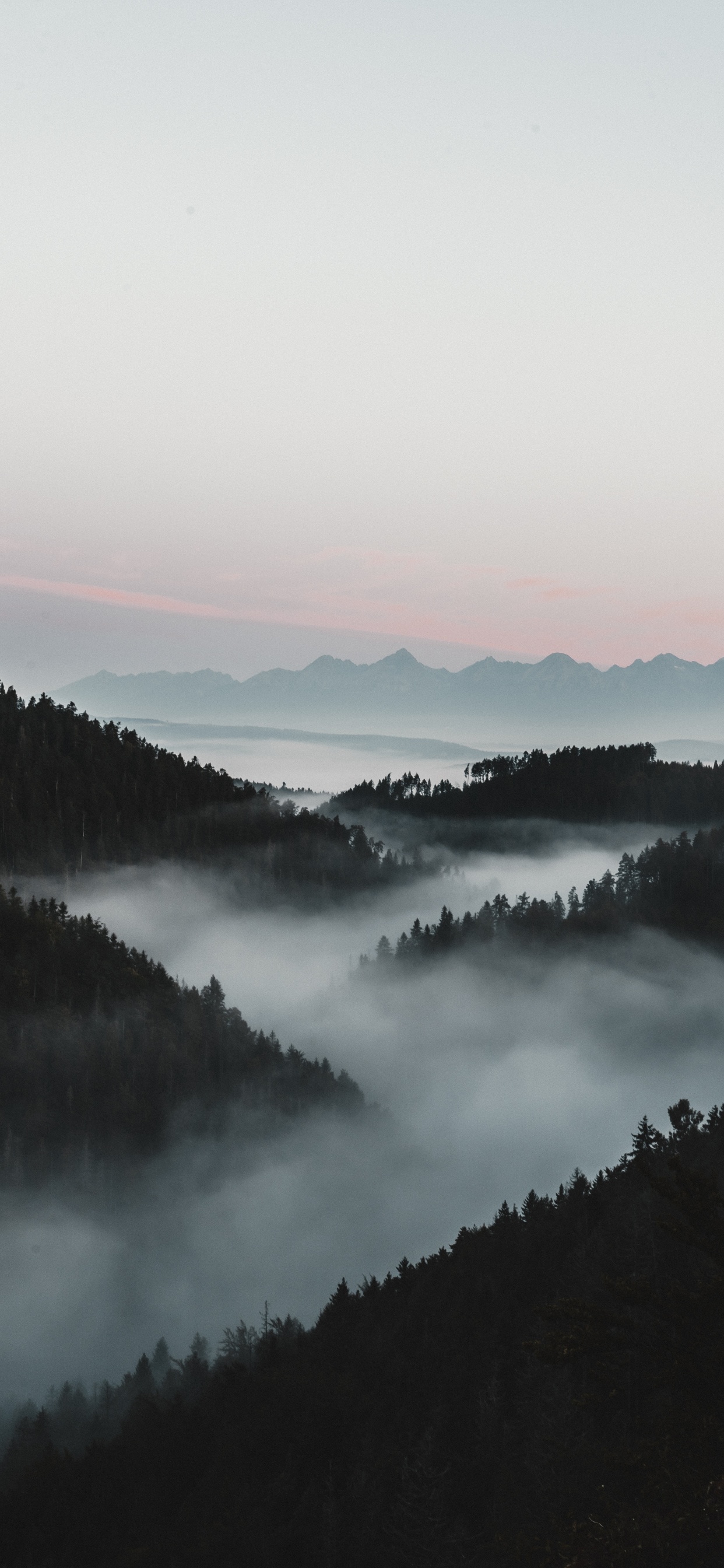 Обои туман, вода, дымка, утро, природный ландшафт в разрешении 1242x2688