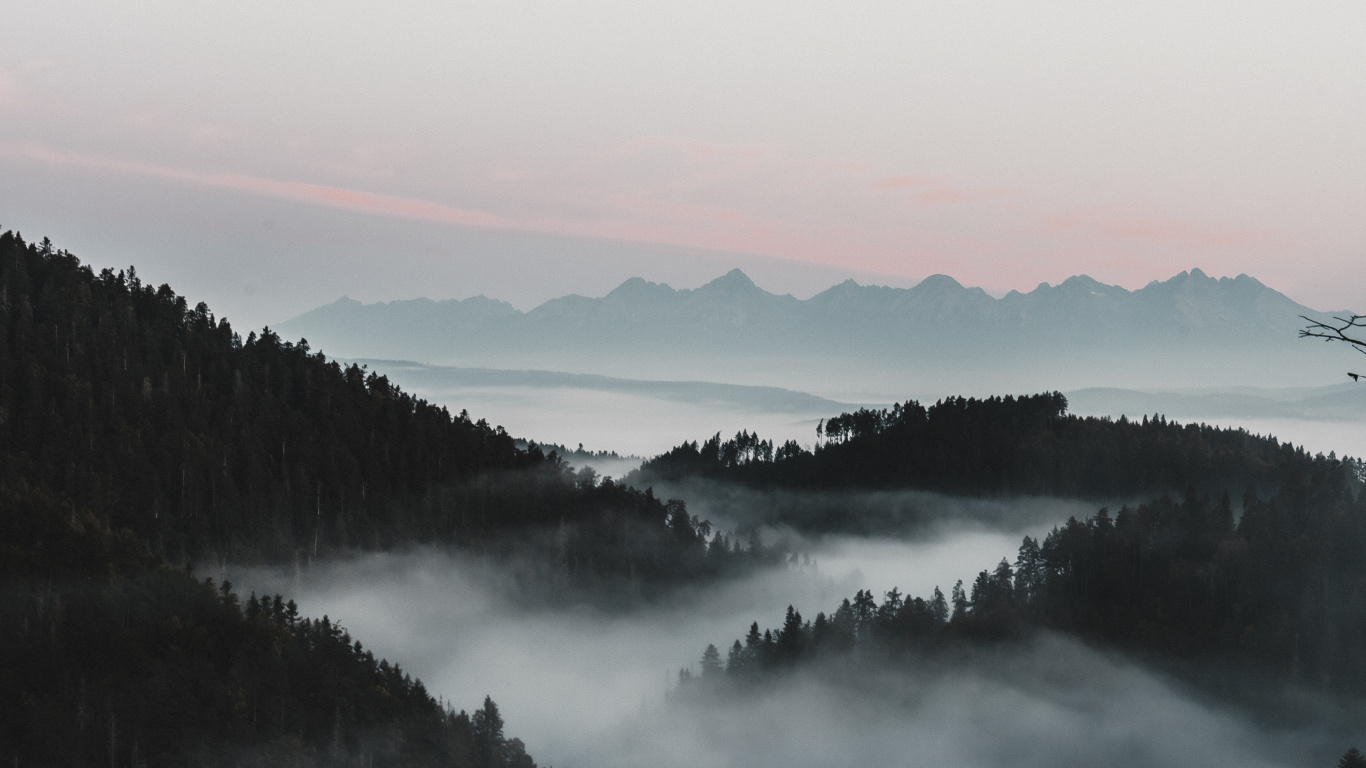 Обои туман, вода, дымка, утро, природный ландшафт в разрешении 1366x768