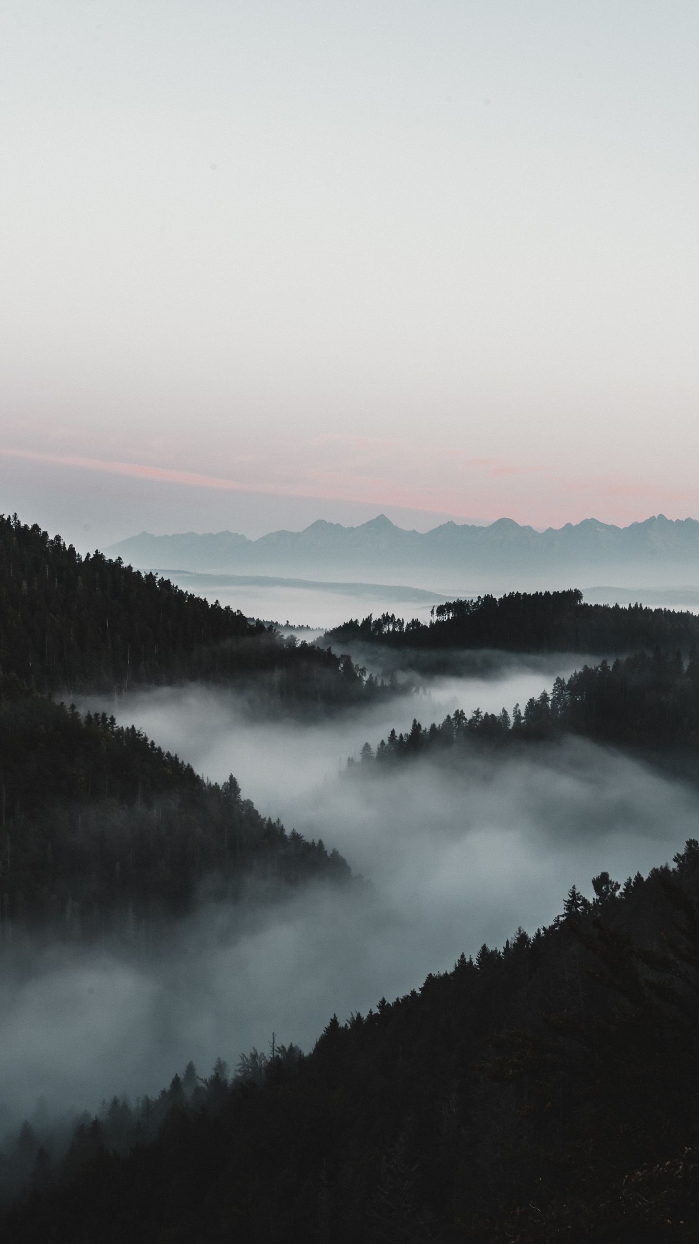 Обои туман, вода, дымка, утро, природный ландшафт в разрешении 1440x2560