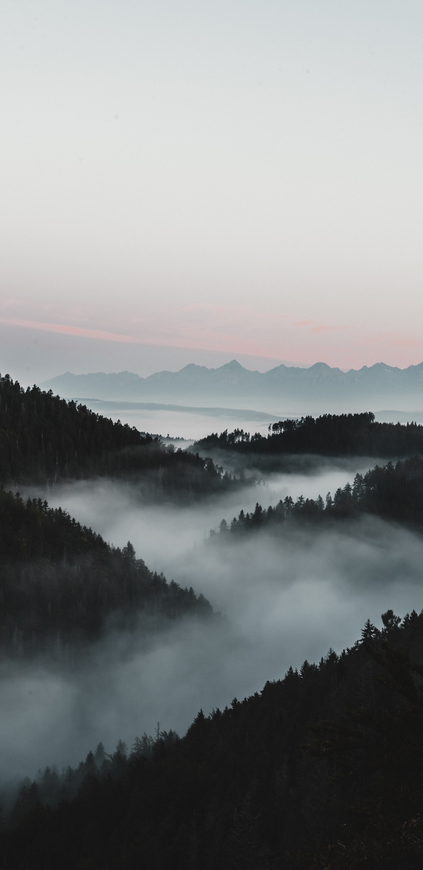 Обои туман, вода, дымка, утро, природный ландшафт в разрешении 1440x2960
