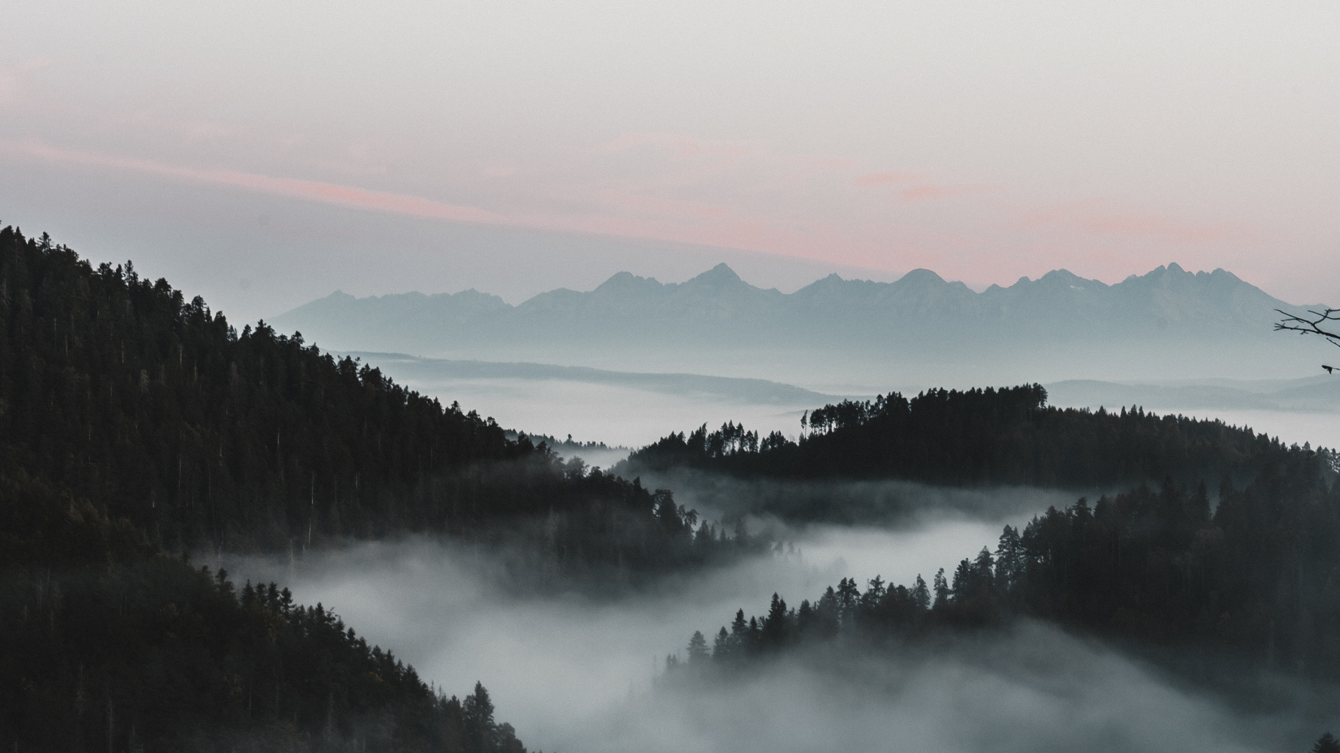 Обои туман, вода, дымка, утро, природный ландшафт в разрешении 1920x1080