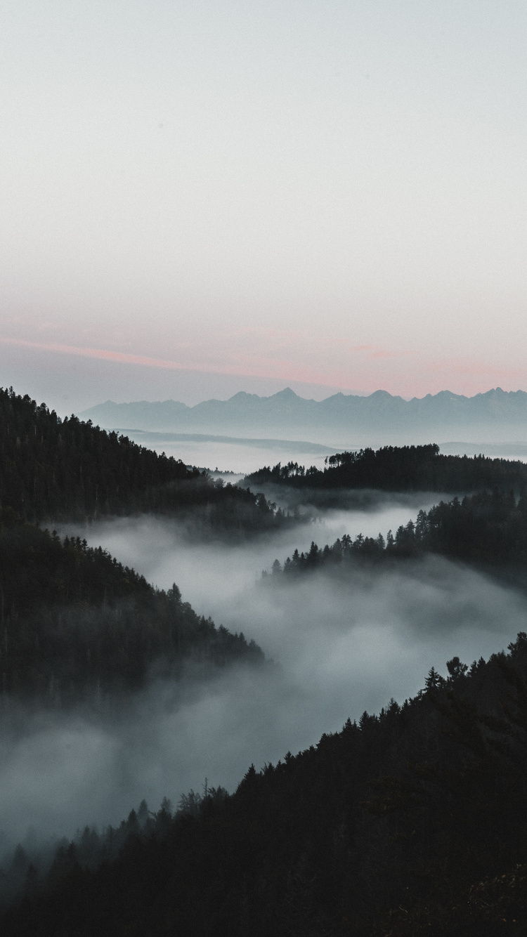Обои туман, вода, дымка, утро, природный ландшафт в разрешении 750x1334