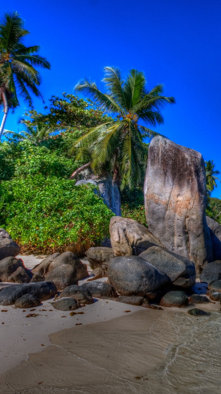 Обои пляж, водоем, природа, тропическая зона, берег в разрешении 720x1280