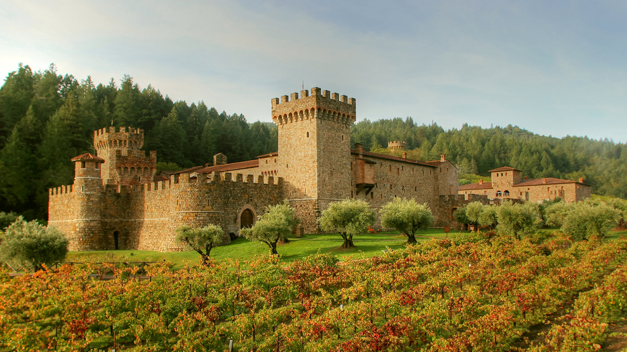 Обои вино, замок, дегустация вина, средневековая архитектура, имущество в разрешении 1280x720