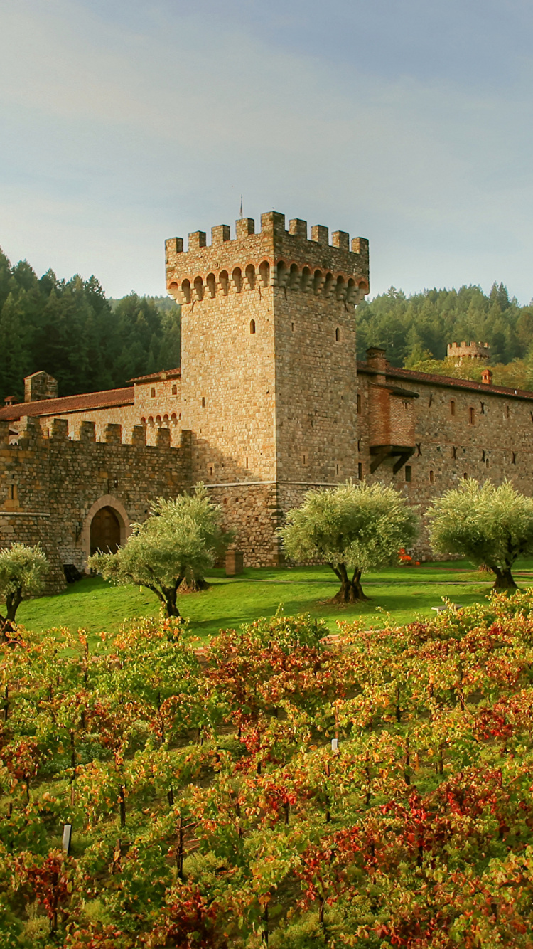 Обои вино, замок, дегустация вина, средневековая архитектура, имущество в разрешении 750x1334